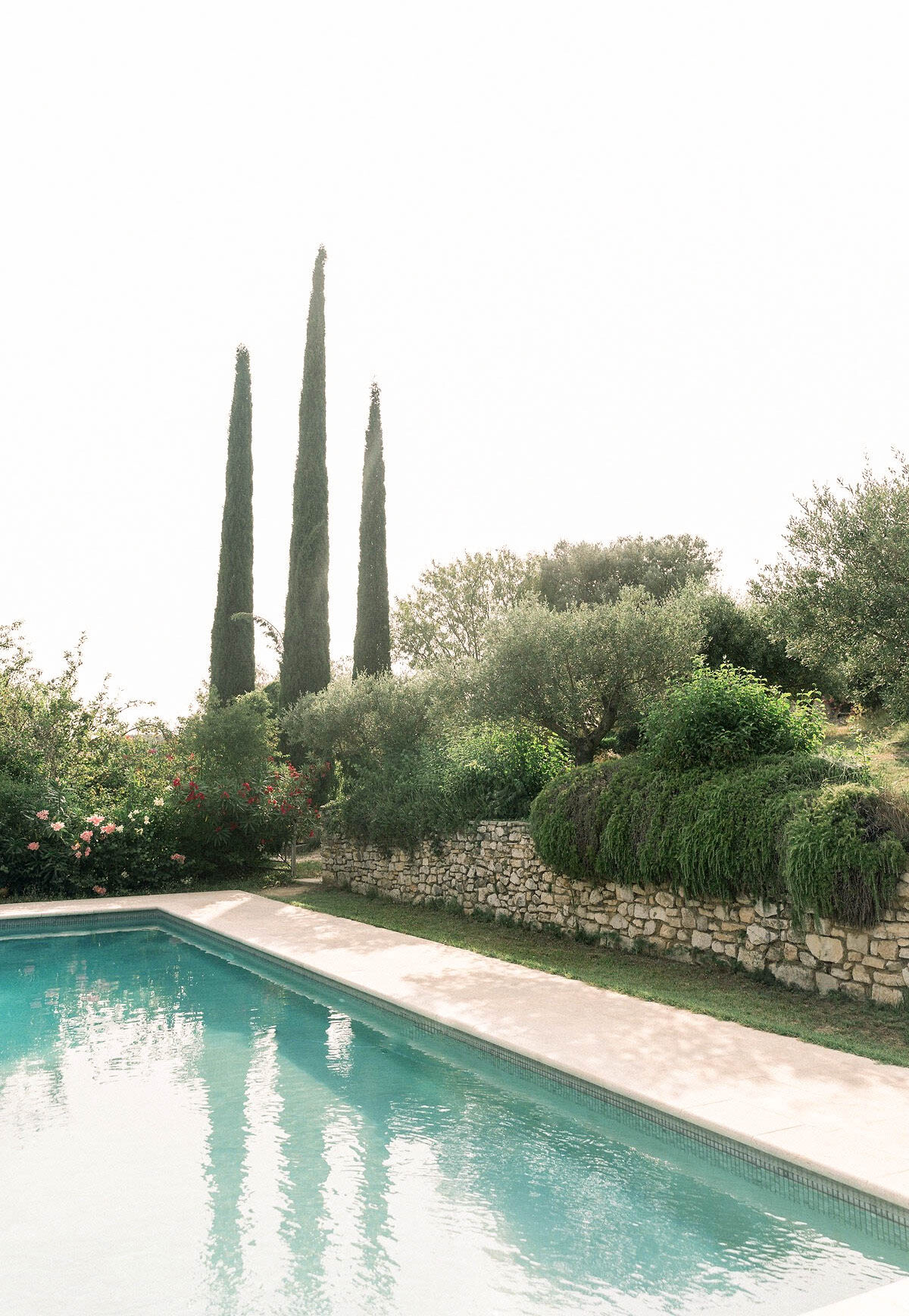 An outdoor venue grounds shot featuring a rectangular swimming pool with turquoise water and a pale stone coping surround. A low dry-stone wall borders the pool area, with climbing and trailing greenery spilling over it. Pink and red flowering shrubs are visible to the left side. Behind the wall, terraced grounds rise with olive trees and dense Mediterranean-style planting, and three tall Italian cypress trees extend vertically against a bright, overexposed sky. No people are present. Wide shot composition with a clean, airy aesthetic typical of a southern French property. Potential venue feature image.