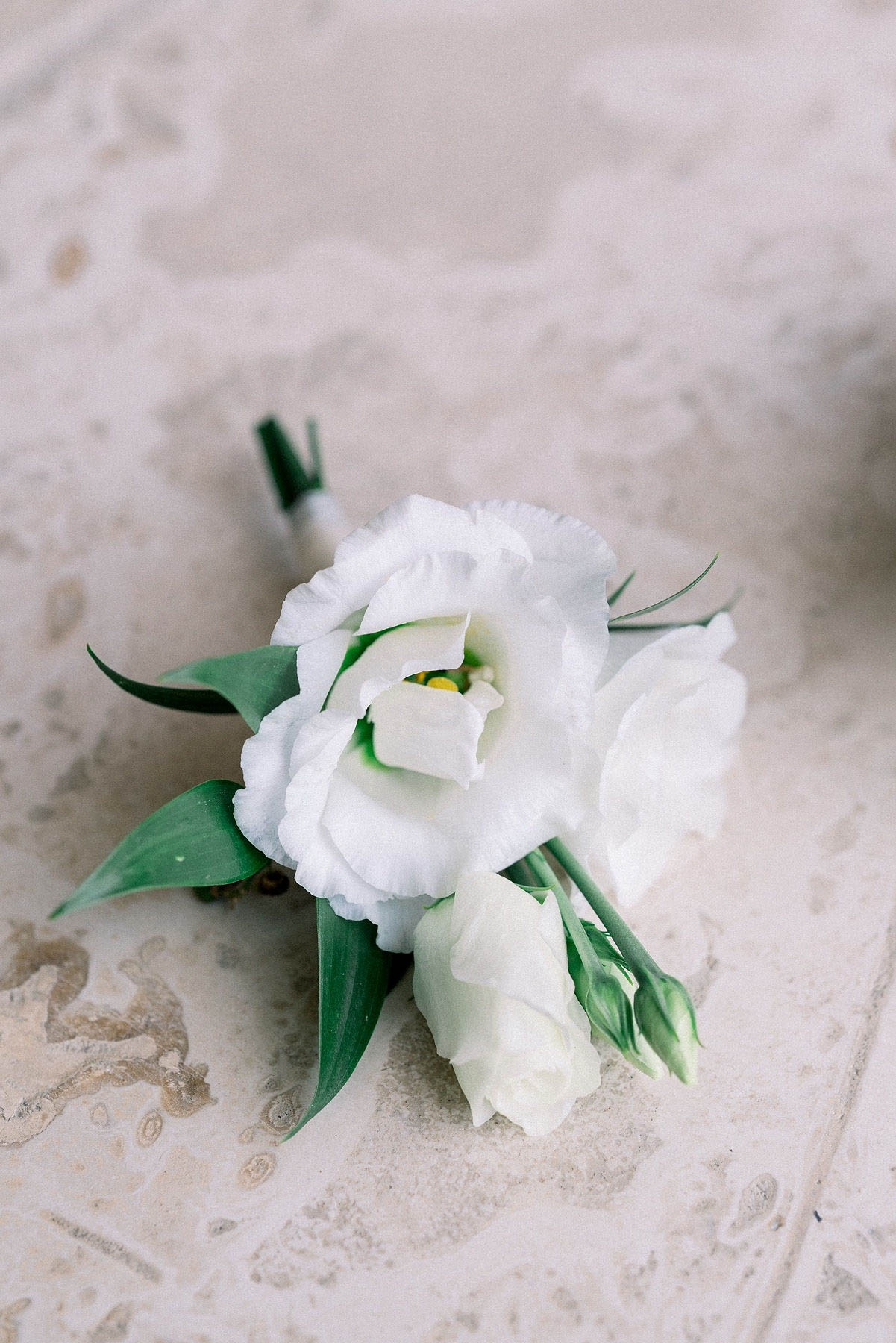 Close-up detail shot of a boutonniere resting on a pale stone surface with subtle veining. The boutonniere features white lisianthus blooms — one fully open with visible yellow stamens, one partially open, and two small buds — accented with deep green leaves and a stem wrapped in dark green floral tape. The overall palette is white and green, consistent with a classic or minimalist floral styling approach.