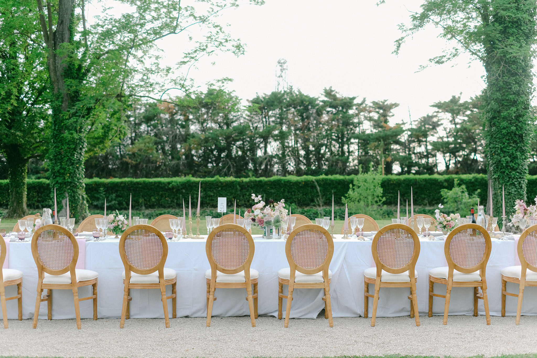 Long reception table with dusty pink candles, blush rose centerpieces, and cane-back Louis XVI chairs