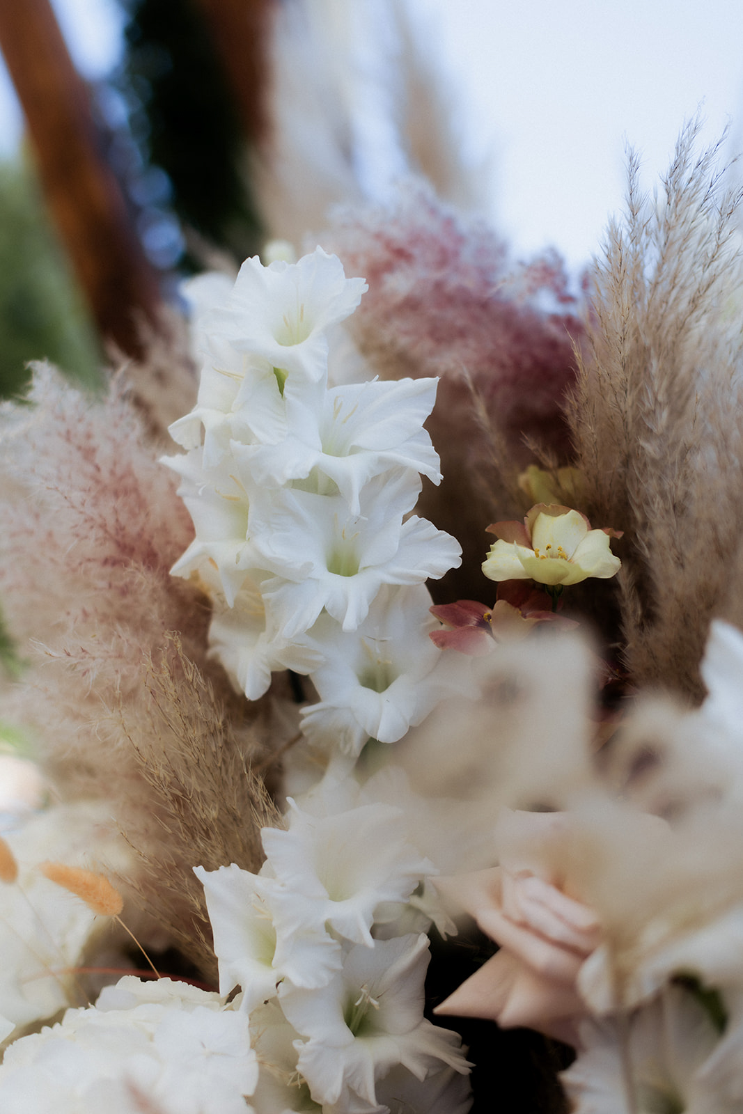 Close-up of white gladioli with pampas grass dusty mauve plumes and blush roses