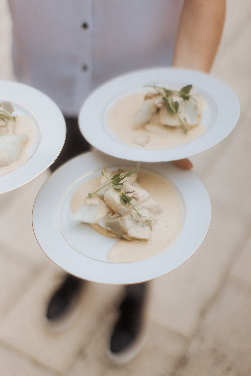 Server carrying three gold-rimmed white plates with fish fillets in cream sauce and microgreen garnish