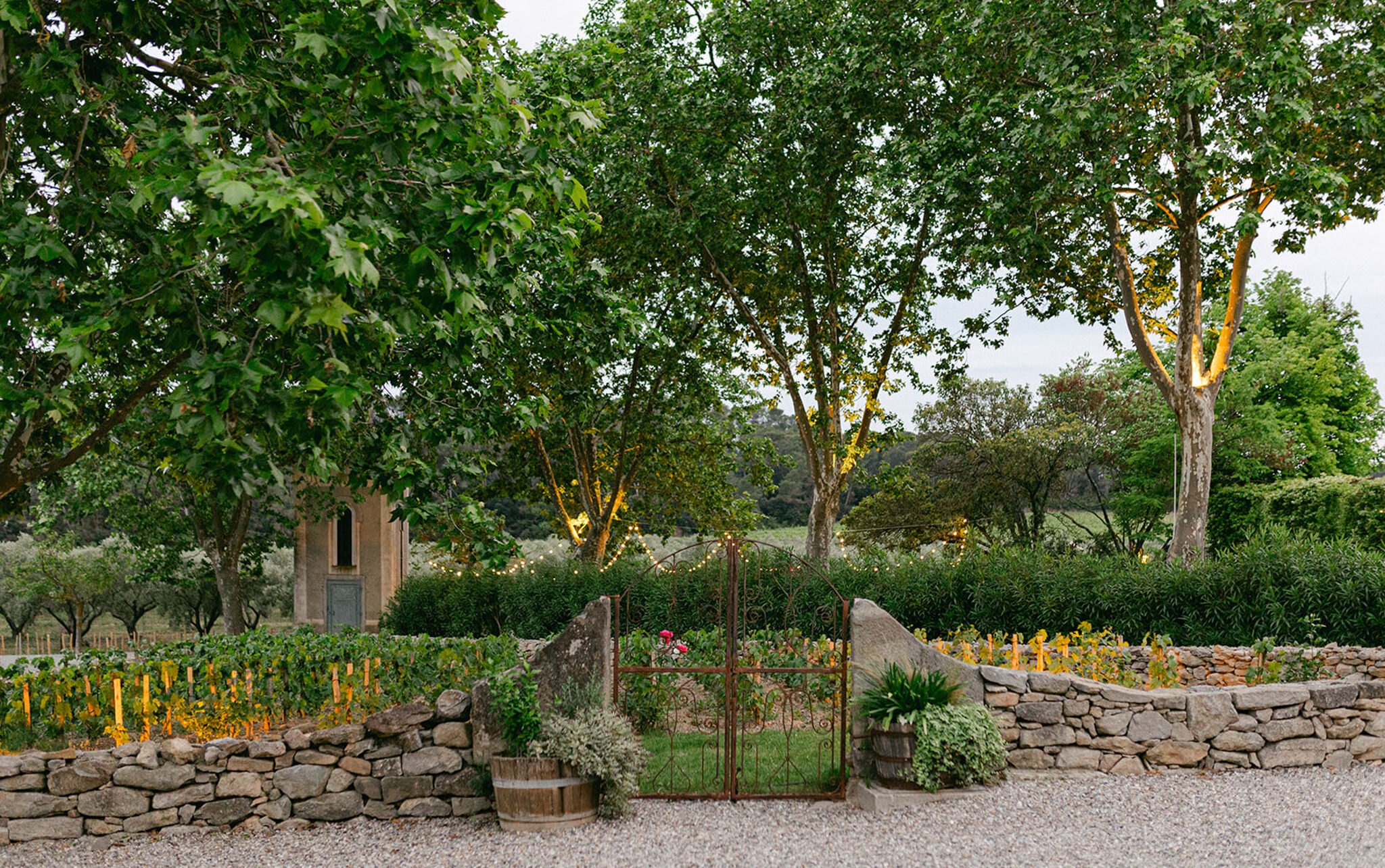 Iron gate in dry-stone wall opening to tree-lined path with festoon lights at dusk