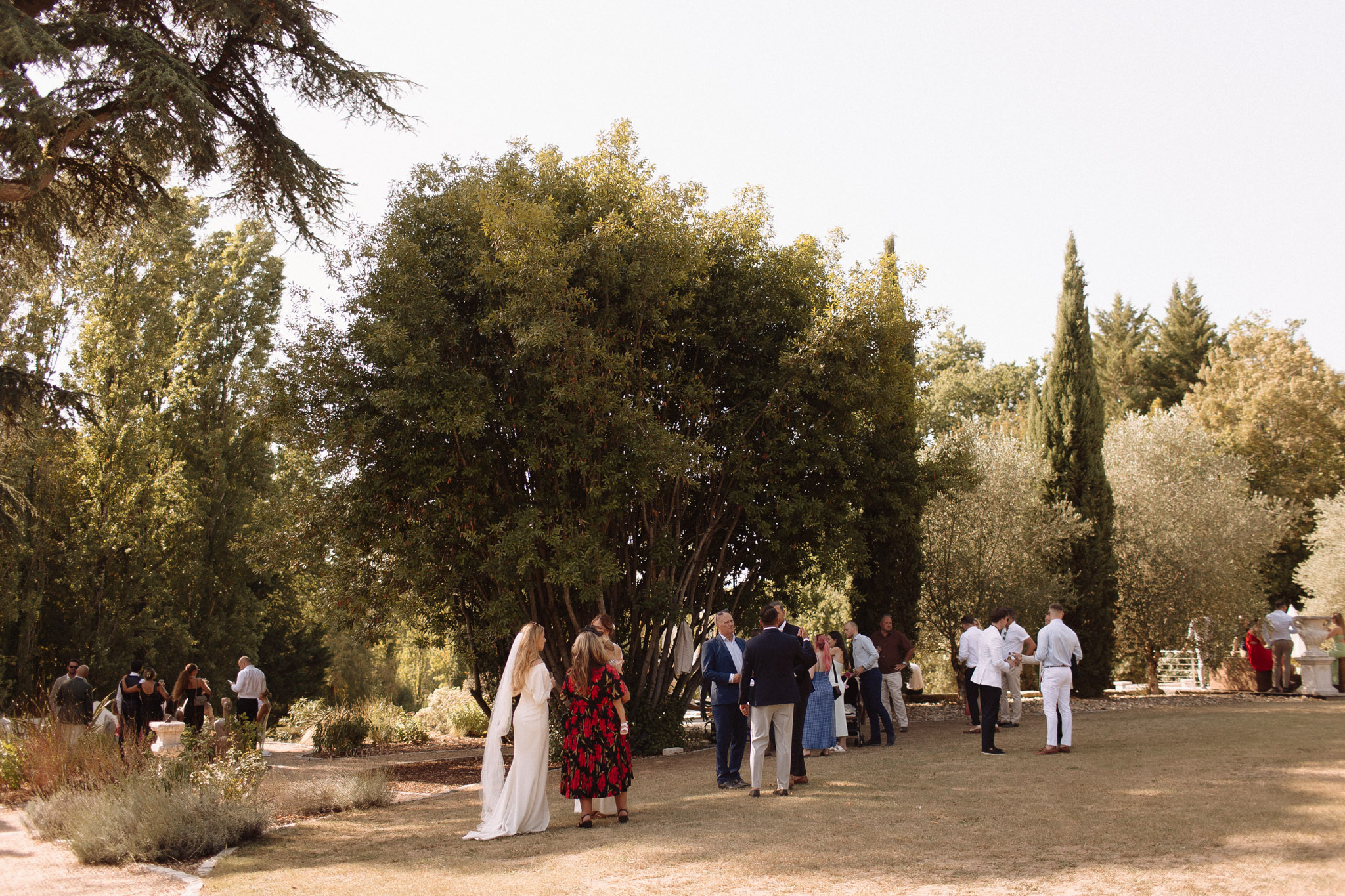 An outdoor cocktail hour taking place in a garden setting with cypress trees and large mature shrubs typical of a southern French property. Approximately 25–30 guests are mingling across the grounds, with the bride visible in the foreground wearing a long white gown with long sleeves and a cathedral-length veil, speaking with a guest in a red floral midi dress. Other guests are dressed in smart-casual attire including a navy blazer, white trousers, and summer dresses. White stone urns are visible as decorative elements along the garden path. The wide shot captures the full scene in bright midday light with a relaxed, convivial atmosphere.