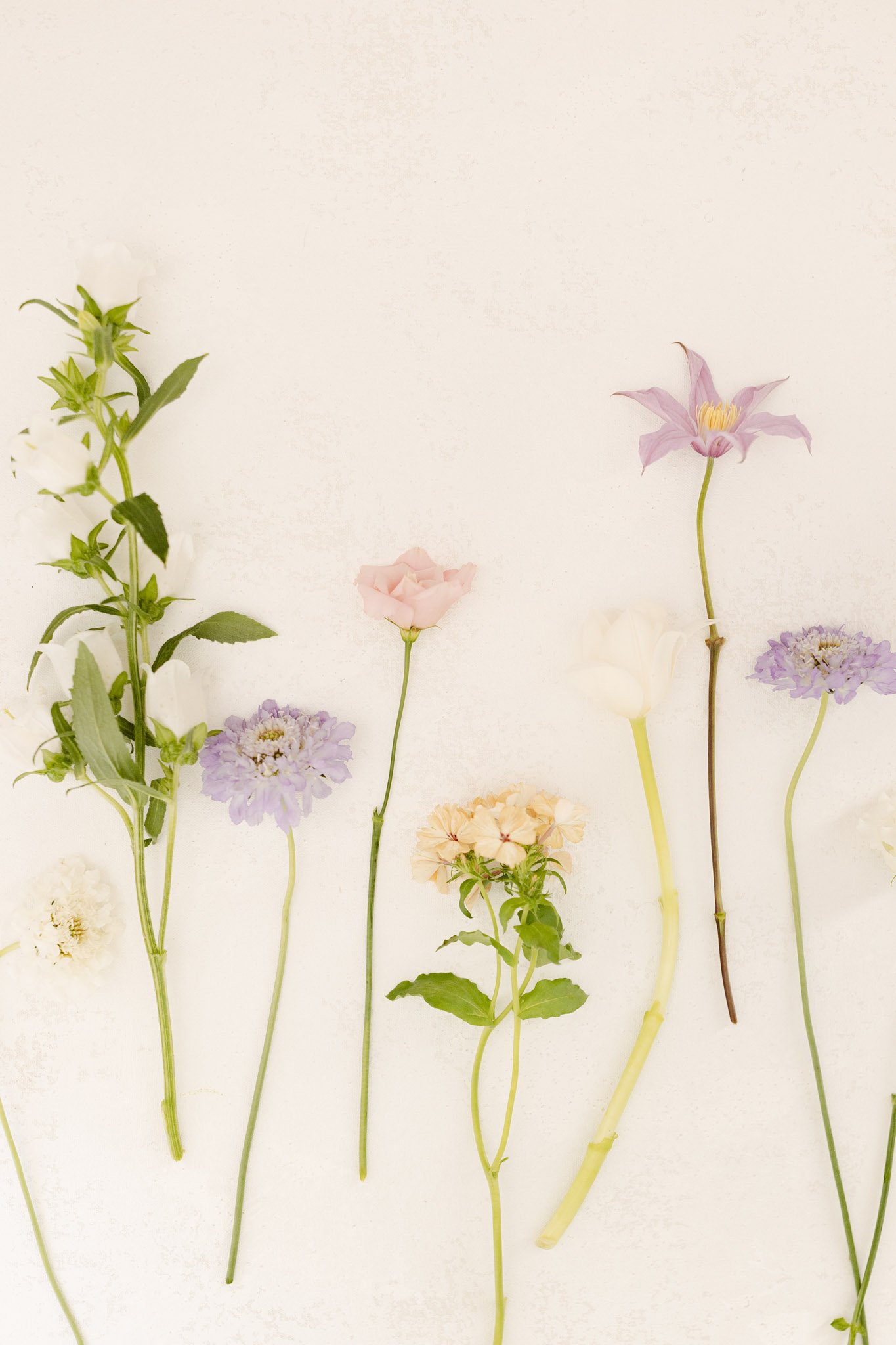 A flat lay detail shot of individual wedding florals arranged on a white surface. The blooms are spread across the frame and include a blush pink garden rose, two stems of lavender-blue scabiosa, a pale peach phlox cluster, a white tulip, a lilac clematis, white lisianthus buds on a leafy green stem, and a cream-toned scabiosa. The palette is a soft mix of blush, lavender, cream, and peach tones paired with fresh green foliage and stems. The composition is overhead and styled to display individual flower varieties, likely used as a floral planning or inspiration reference image.