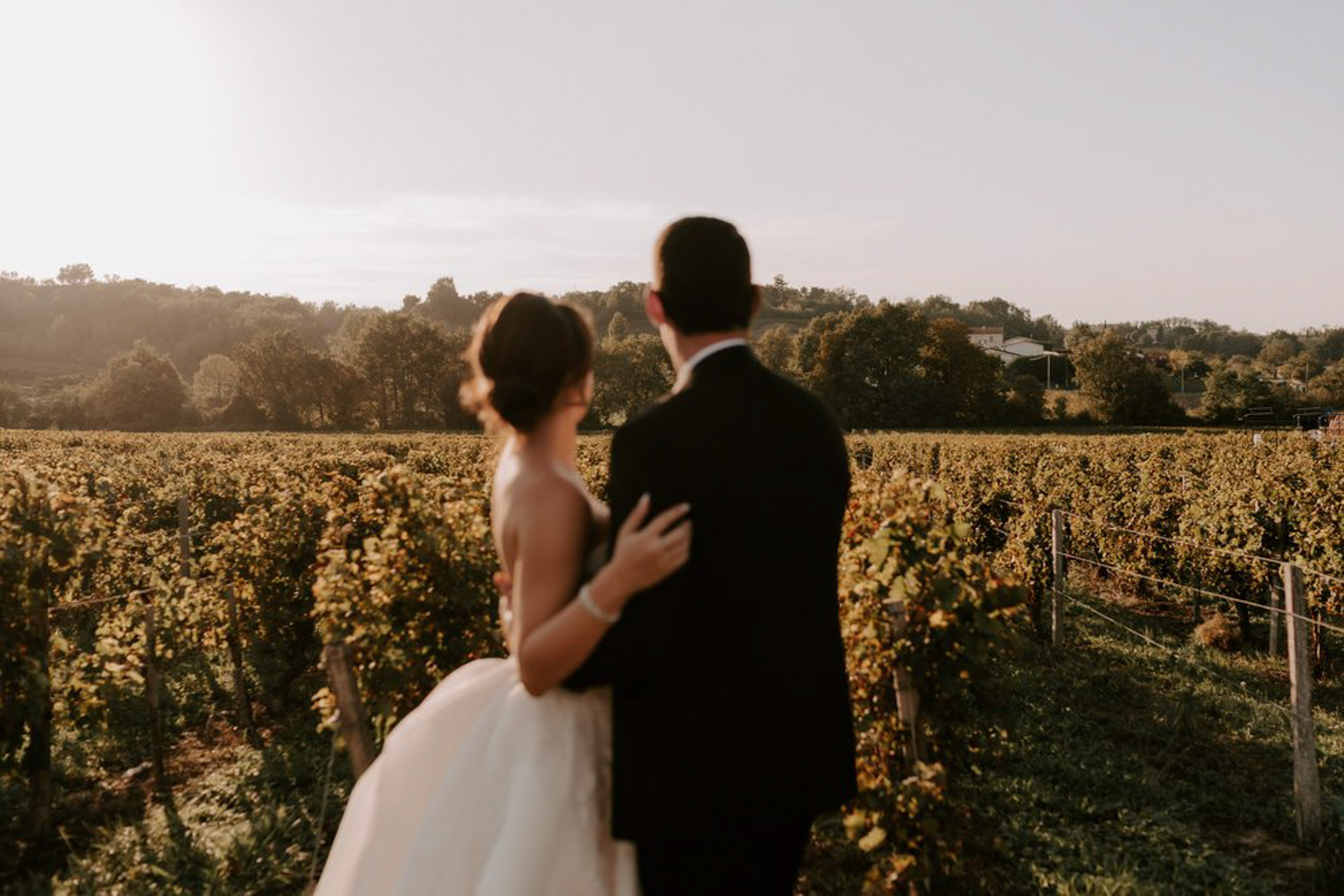 A couple portrait taken outdoors in a vineyard setting during golden hour, with warm late-afternoon light washing across the scene. The bride and groom are photographed from behind, both slightly out of focus, standing among rows of vines stretching into the distance. The bride wears a white ball gown with a low-back silhouette and has her hair up with a small floral accent; the groom wears a dark navy or black suit. Her hand rests on his back as they face the vineyard landscape together. The composition is a wide portrait shot with the couple positioned in the left foreground and the vineyard rows receding toward a treeline in the background.
