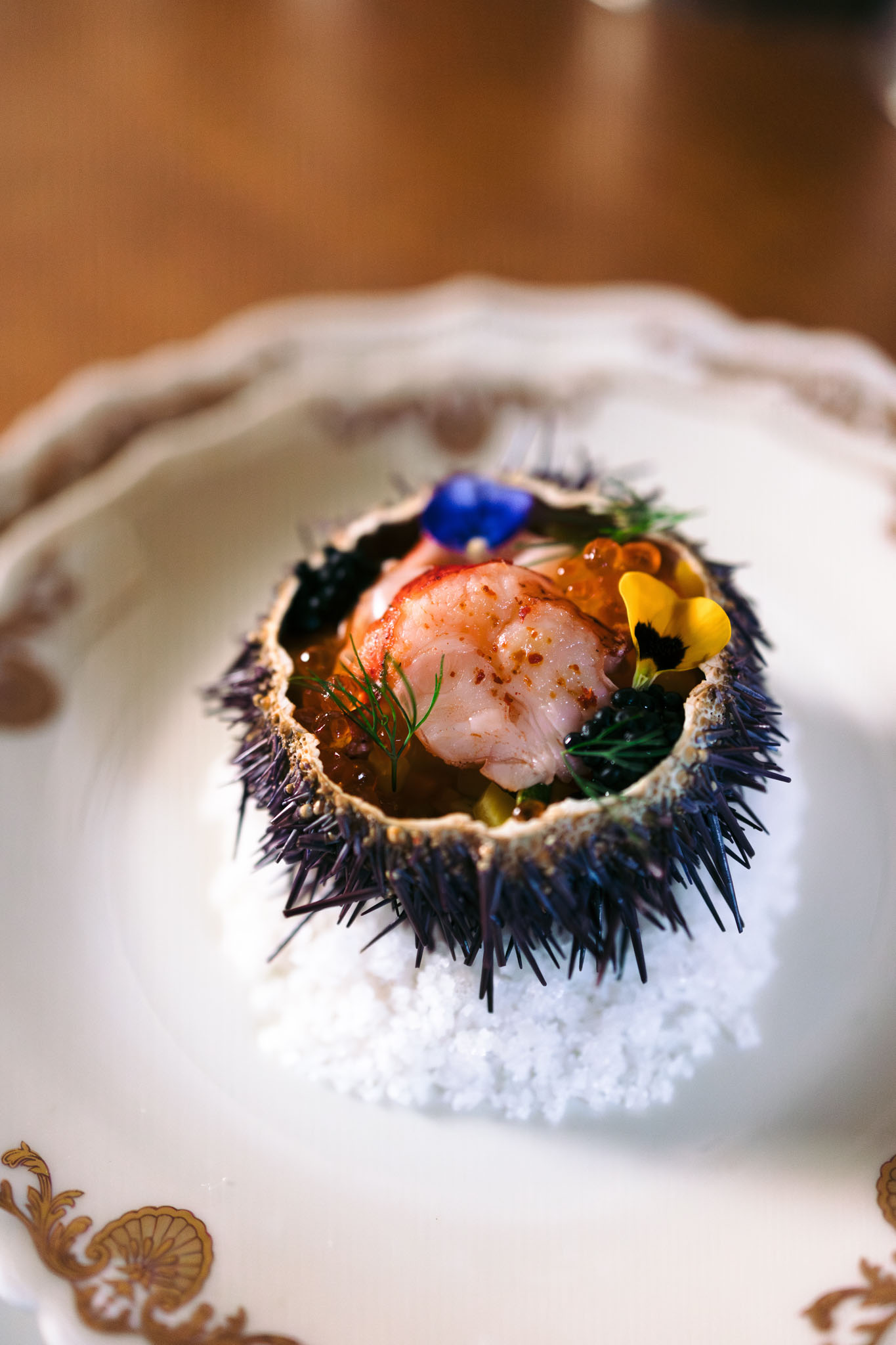 Sea urchin shell appetizer with langoustine, salmon roe, and dill on ornate gold-rimmed porcelain plate