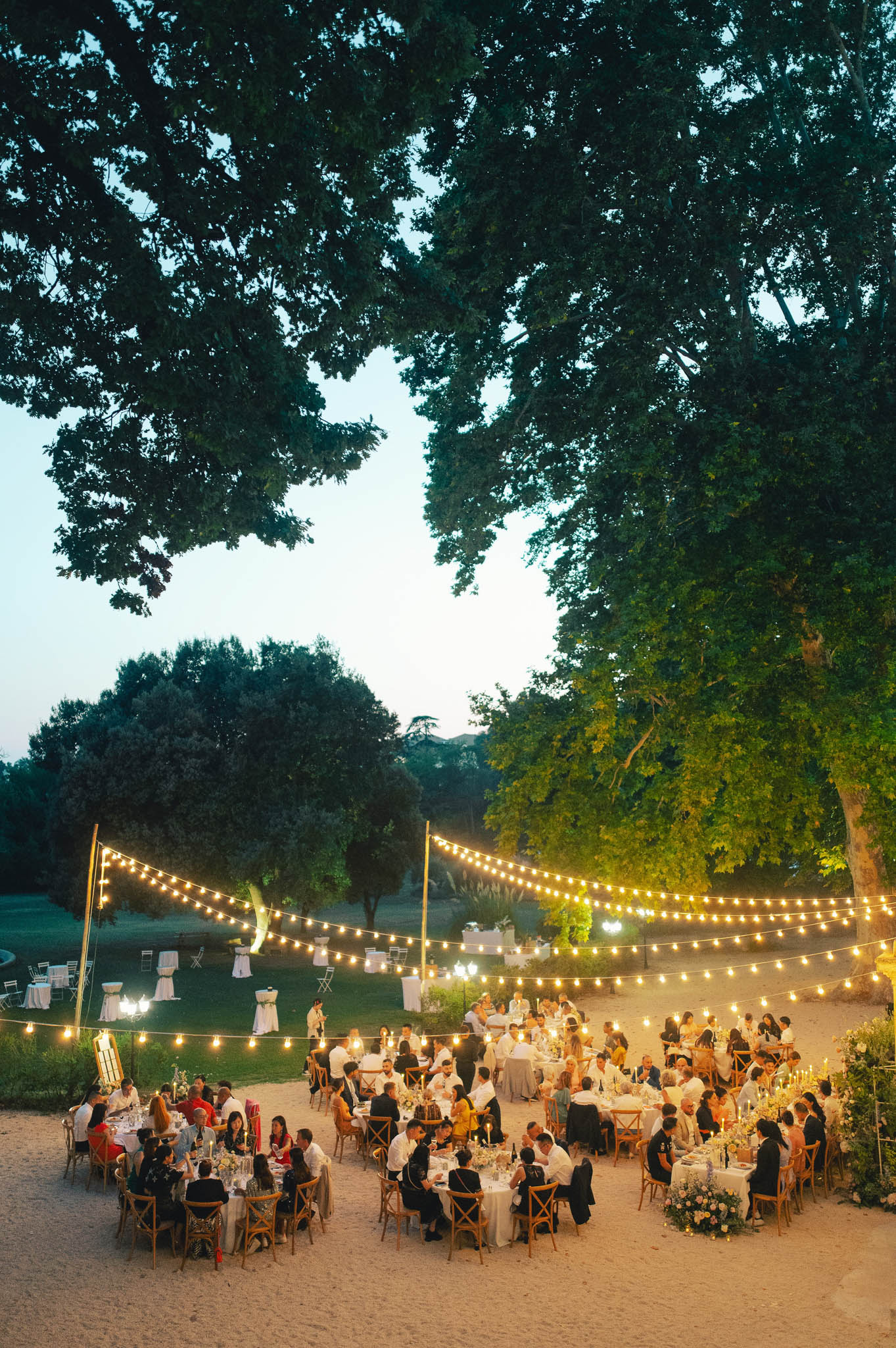 An outdoor evening wedding reception photographed from an elevated wide-angle perspective, showing approximately 80–100 guests seated at round and rectangular tables arranged on a sandy open-air area surrounded by large mature trees. Multiple strands of warm Edison-bulb fairy lights are strung between tall poles above the dining area, casting a golden glow over the tables as dusk falls. Tables are dressed with white linens and feature low floral centerpieces with white and cream blooms, with candles providing additional warm lighting at table level. Guests are dressed in a mix of formal and smart-casual attire, with some in white shirts and others in darker formal wear. The overall styling is relaxed and classic, with natural wood cross-back chairs adding a rustic touch to the setting.