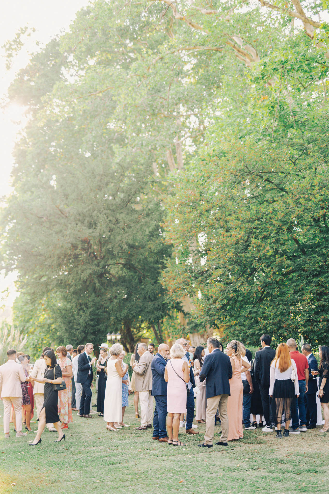 Guests mingle during outdoor cocktail hour on a tree-shaded lawn in warm golden afternoon light