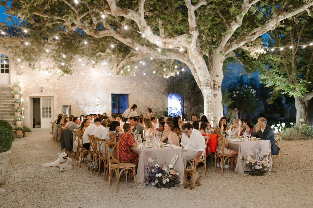 An outdoor evening wedding reception taking place in a gravel courtyard in front of a stone mas or bastide-style building. Approximately 50–60 guests are seated at long banquet-style tables covered with light taupe linen, with natural wood cross-back chairs. The tables are decorated with low arrangements of blush, white, and lavender flowers including what appear to be daisies, peonies, and wildflowers, along with tall taper candles. Festoon bulb lights are strung between large mature plane trees overhead, providing warm ambient lighting against a deep blue dusk sky. Two dogs are visible — a white dog lying on the ground beside the left table and a fluffy brown dog sitting near the center table. The decor style is relaxed French countryside with a natural, unfussy floral palette. Wide-angle shot capturing the full scene of the reception space. Potential venue feature image.