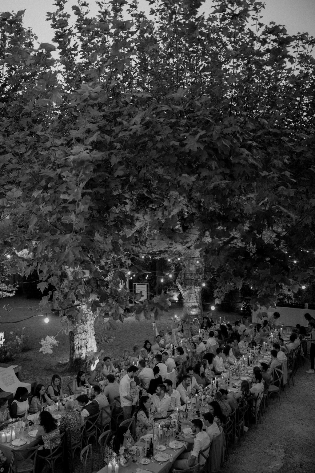 This black-and-white image captures an outdoor wedding reception dinner at dusk, shot from an elevated wide angle. Approximately 50–60 guests are seated along what appears to be two long parallel banquet tables arranged on a gravel or paved terrace. The tables are lit by tall taper candles and dressed with floral centerpieces, glassware, and bottles. Guests are dressed in a mix of formal and smart-casual attire, with light tones dominating due to the B&W processing. The setting features a large mature plane tree dominating the background, with festoon bulb string lights strung between the tree and a stone archway structure, providing warm pools of light against the darkening evening sky. The contrast between the candlelit table foreground and the deep dark tones of the tree canopy gives the image a moody, high-contrast quality. The overall styling suggests a relaxed yet considered outdoor dinner, with a rustic French countryside aesthetic.