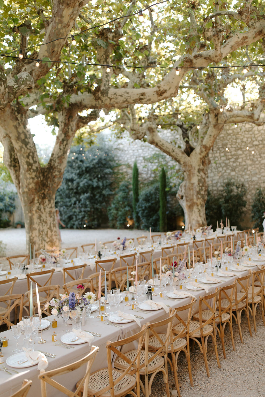 Long banquet tables under plane trees with festoon lights, blush roses and blue delphinium centerpieces