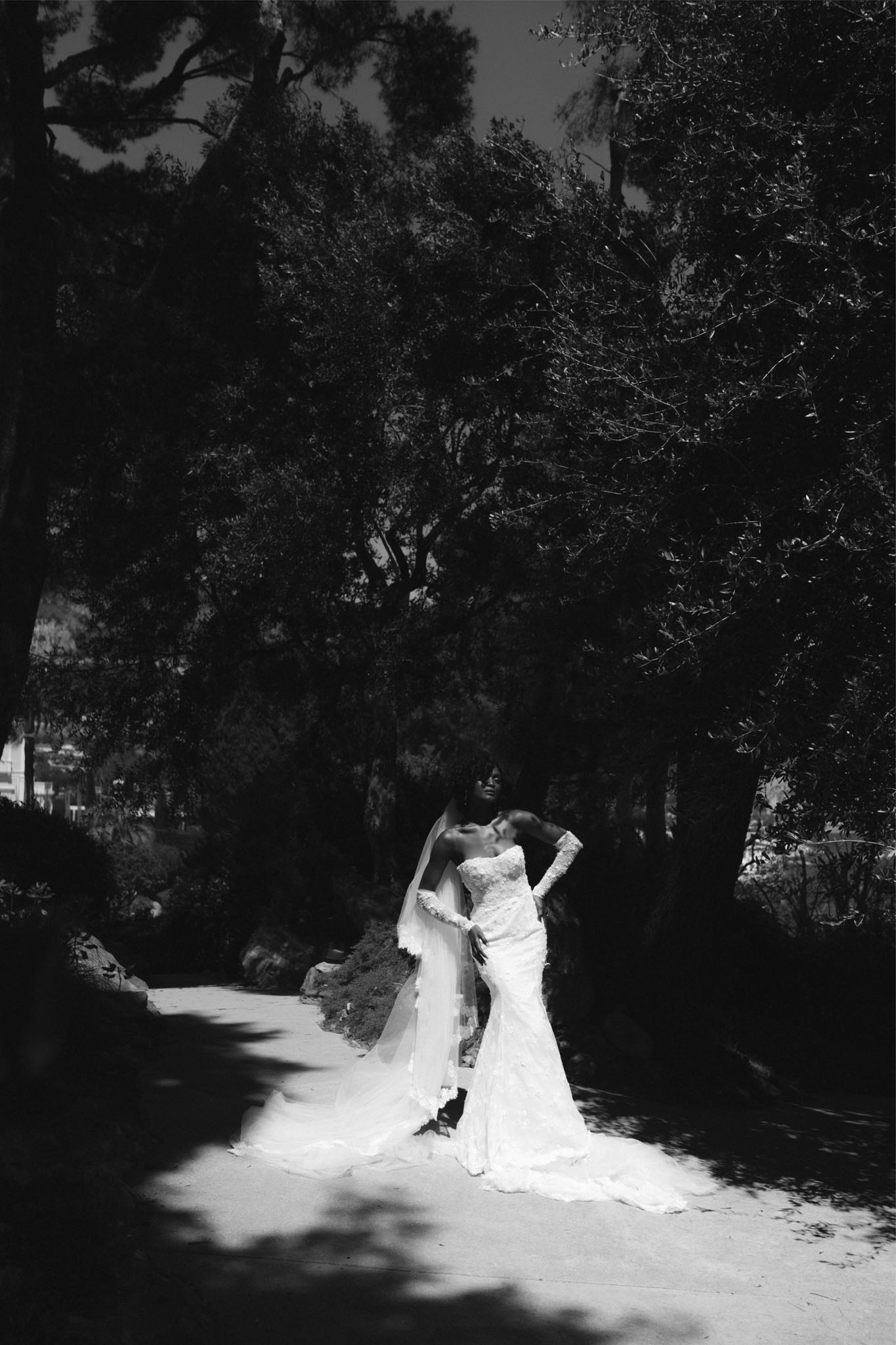 This is a black-and-white bridal portrait taken outdoors on a shaded garden path lined with large trees. The bride stands alone in a fitted lace mermaid-style gown with long lace sleeves and a deep sweetheart neckline, paired with a long cathedral-length veil that trails across the ground. The image has high contrast, with deep shadows cast by the tree canopy framing the bright white of the dress and veil as the focal point. The composition is a full-length wide shot, with the bride positioned centrally on the path, her head tilted upward in a posed, editorial style.