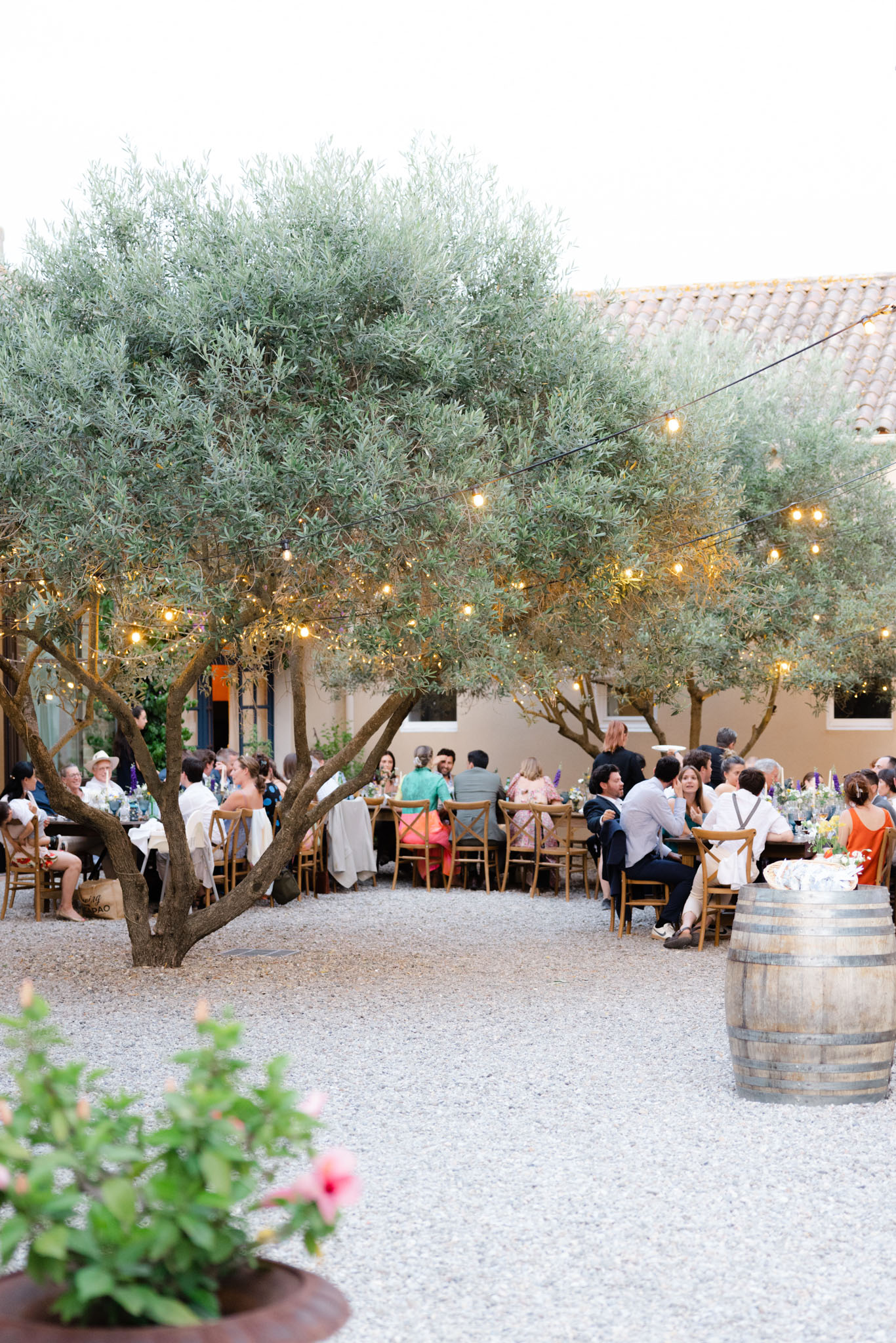 Outdoor reception under olive trees with Edison lights, colorful florals, and 50 guests at Provencal mas