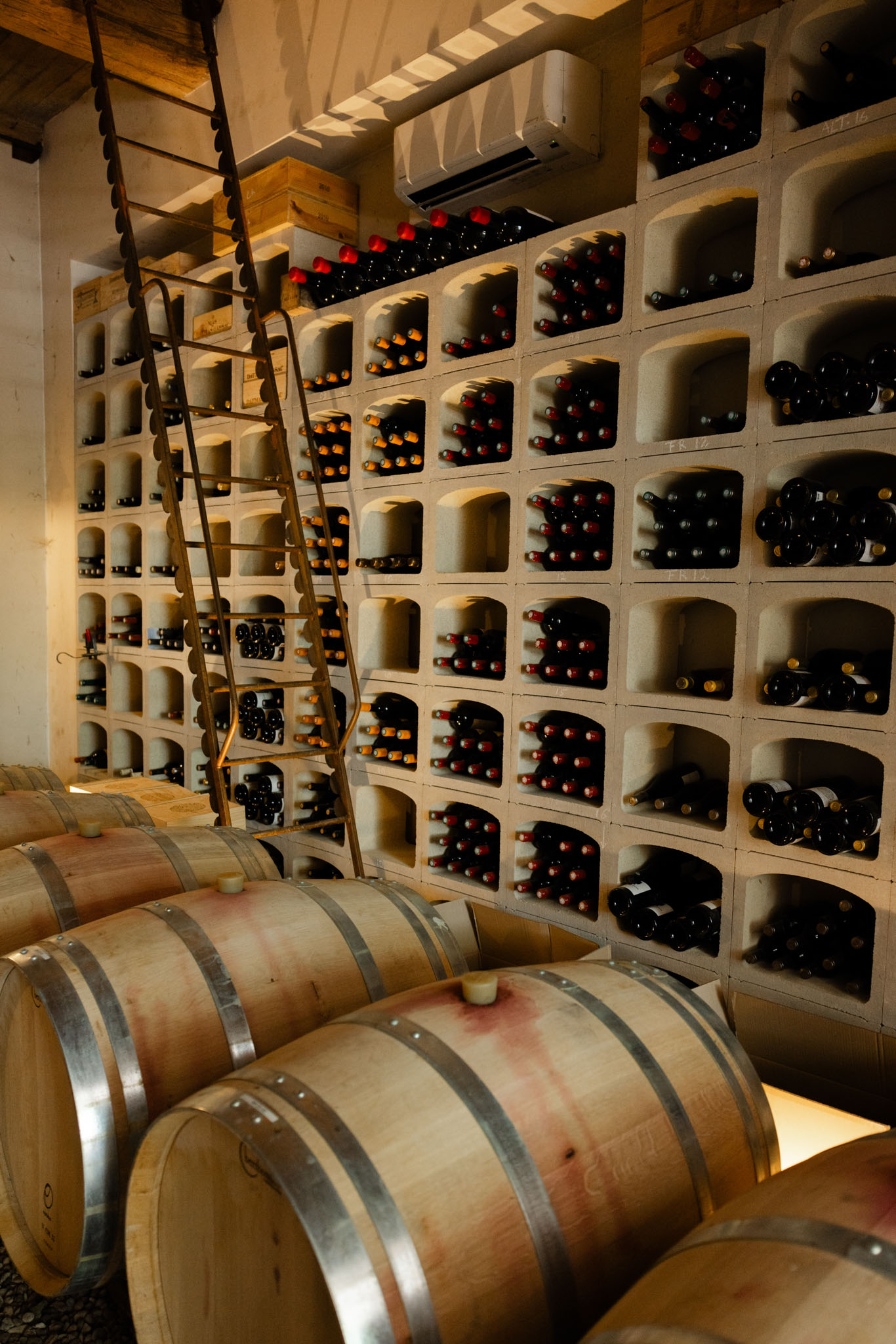 An indoor wine cellar or cave space photographed in a wide-angle shot with no people or wedding activity visible. The room features floor-to-ceiling modular concrete wine racks filled with hundreds of dark glass bottles with red and gold foil capsules, and several light oak aging barrels with steel bands are stacked in the foreground. A tall metal rolling ladder leans against the shelving unit, and a wall-mounted climate control unit is visible near the ceiling. Warm ambient lighting highlights the honey tones of the barrels and the cream-colored concrete racks. Potential venue feature image.