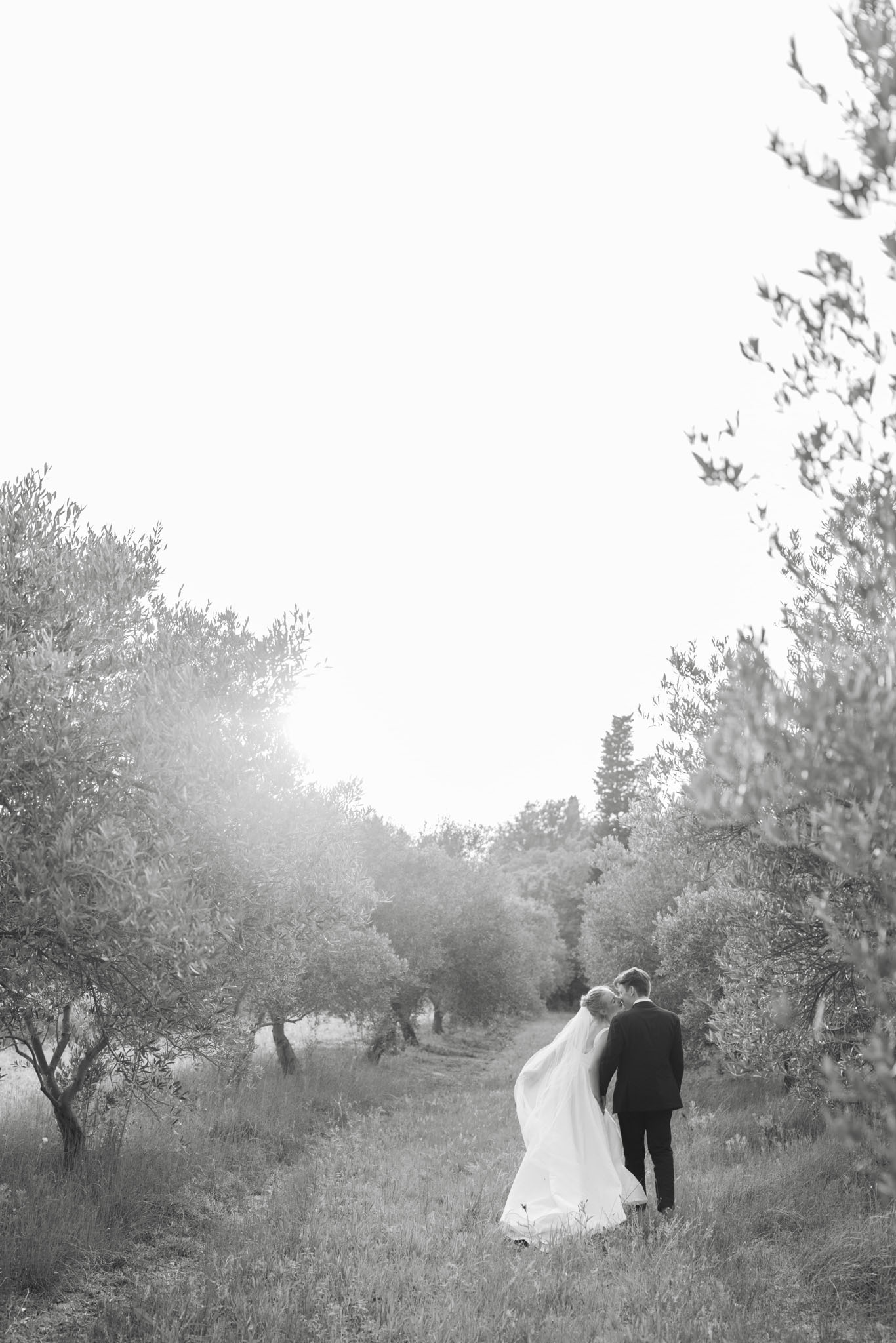 Black-and-white portrait of bride and groom walking away through an olive grove with flowing veil trailing behind