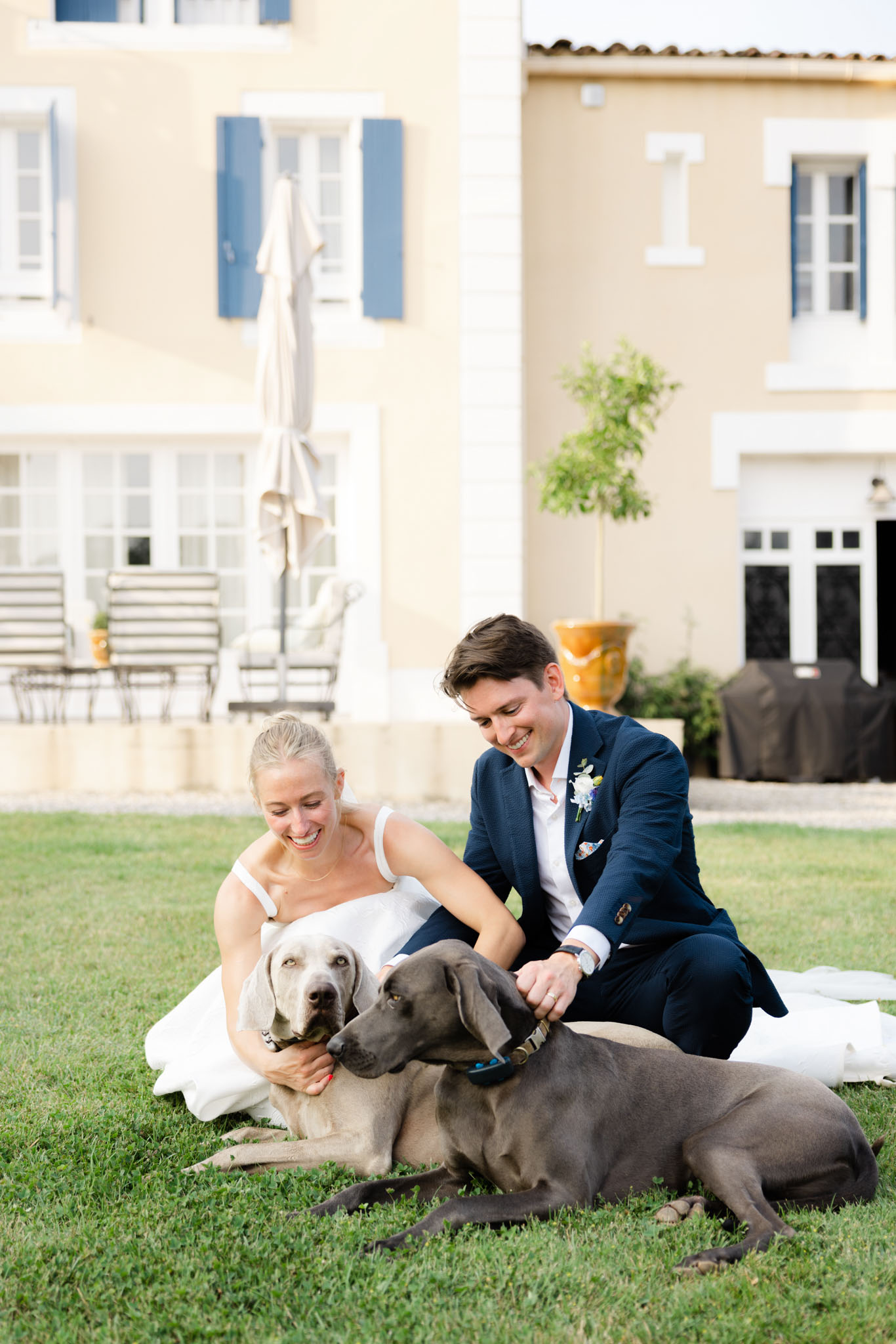 Bride and groom seated on lawn laughing with two Weimaraner dogs before Provencal manor with blue shutters