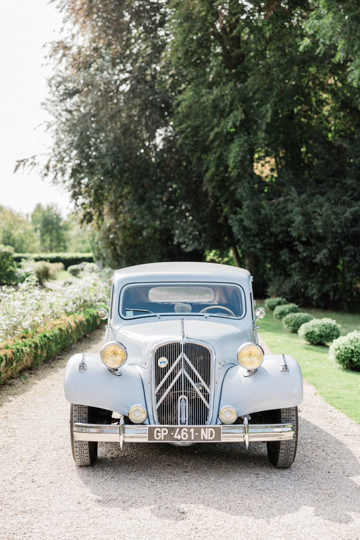 Pale blue vintage Citroen Traction Avant parked on gravel driveway lined with boxwood hedges