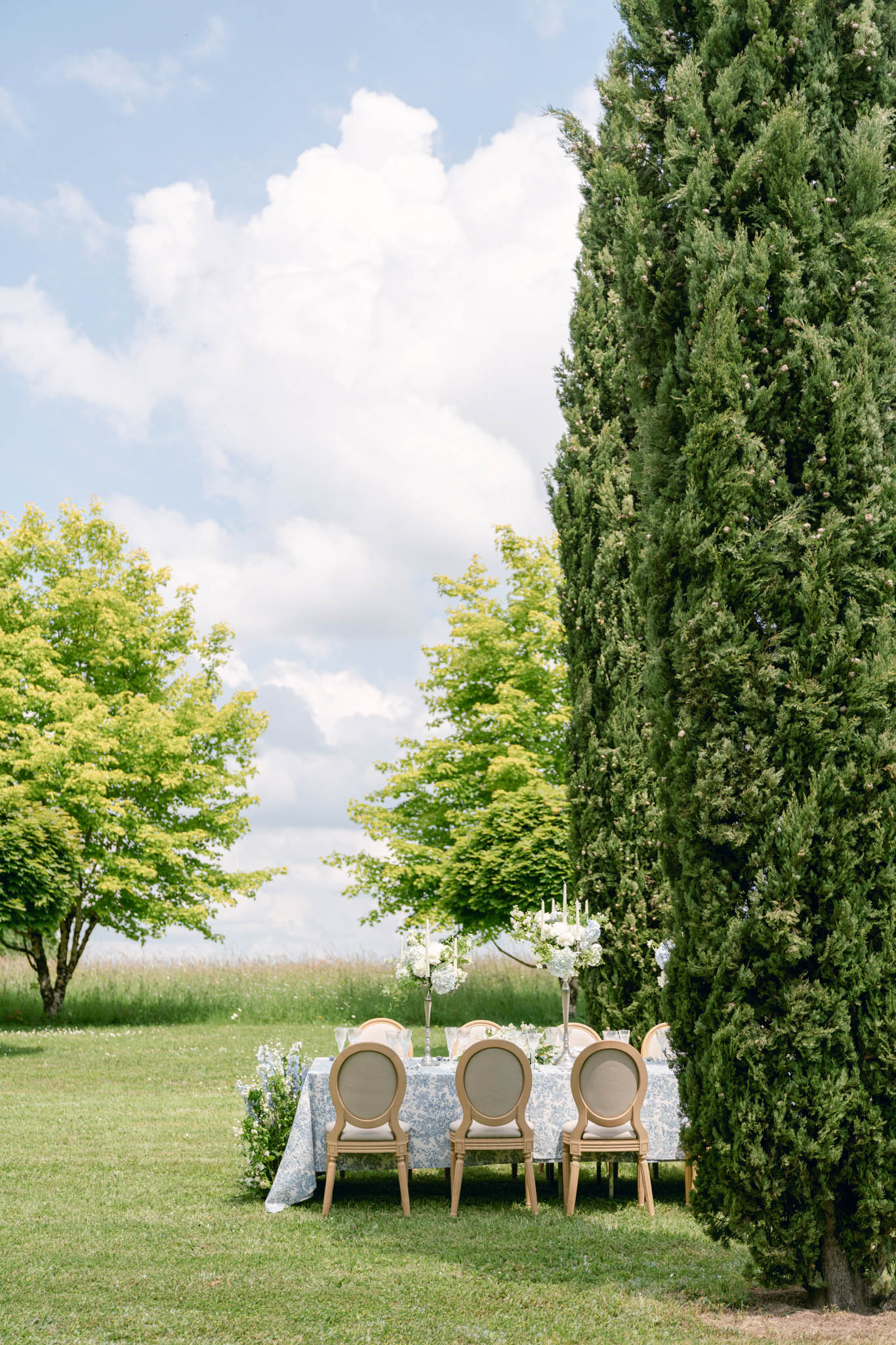An outdoor reception table setup positioned on a lawn beside tall cypress trees, with an open countryside and meadow visible in the background. The rectangular table is dressed in a blue and white toile de Jouy printed linen and seats approximately four to six guests, with gold-framed Louis XVI-style medallion back chairs with taupe upholstered seats and backs. The centerpieces consist of tall silver candelabras holding white taper candles and arrangements of white flowers — appearing to be white hydrangeas, white stock, and small white blooms — with loose florals and what appears to be blue delphinium scattered along the table runner. The wide shot captures the full table setting within its outdoor garden setting, styled in a classic French aesthetic with a blue and white color palette.