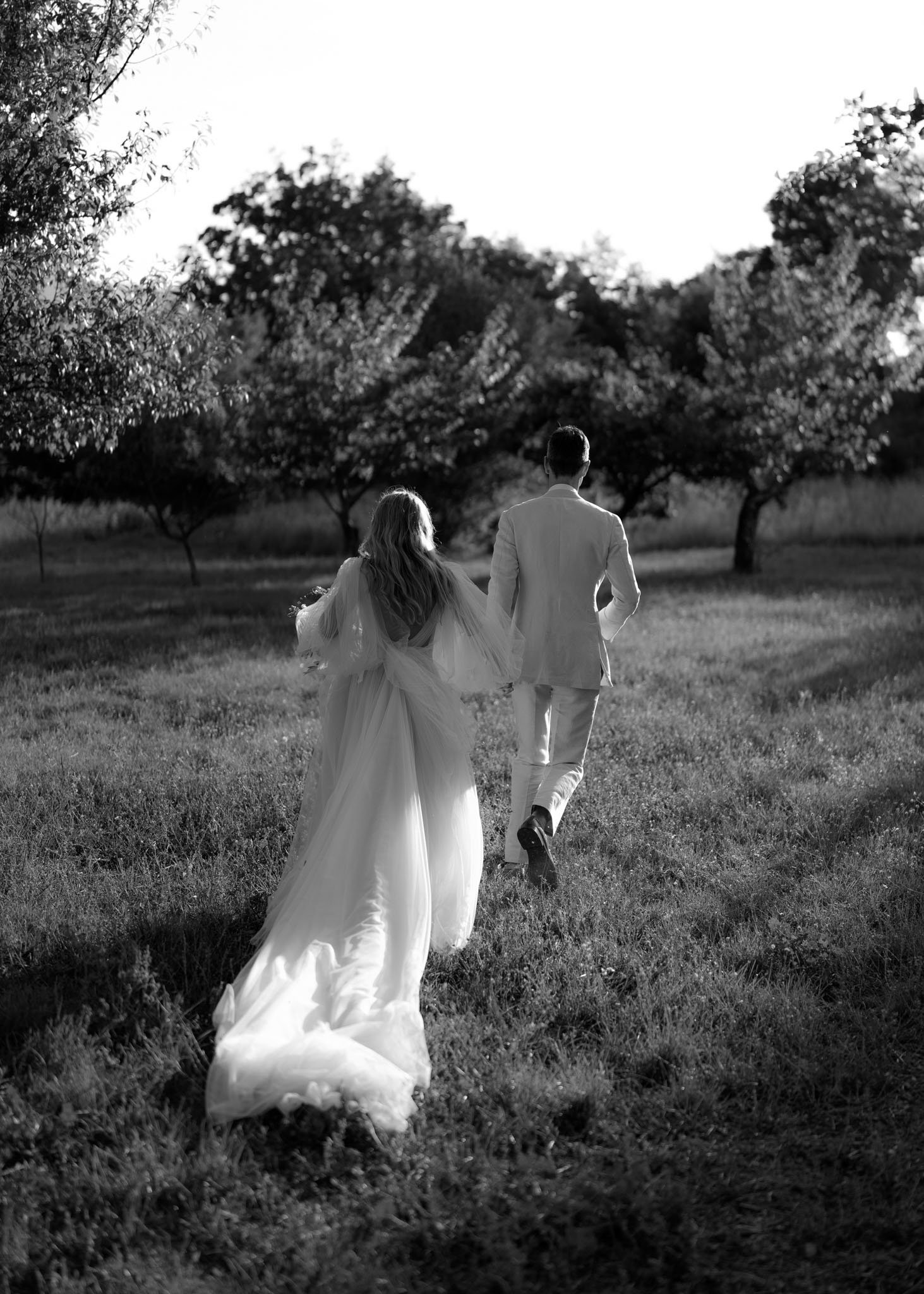 Black-and-white rear view of bride and groom walking through an orchard meadow, bride's train trailing across the ground