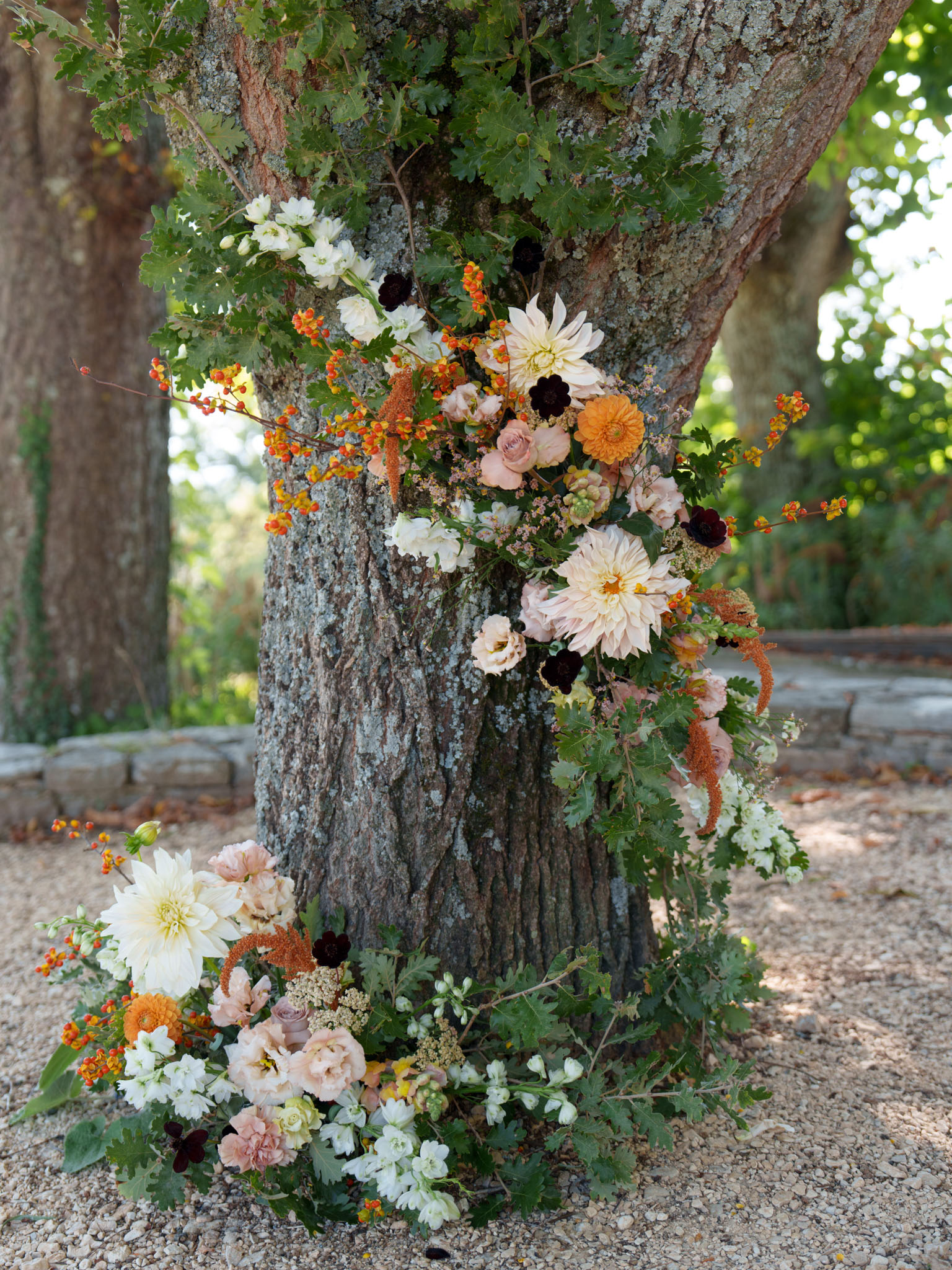 Autumnal floral installation at tree base with cafe au lait dahlias, burgundy anemones, and orange zinnias