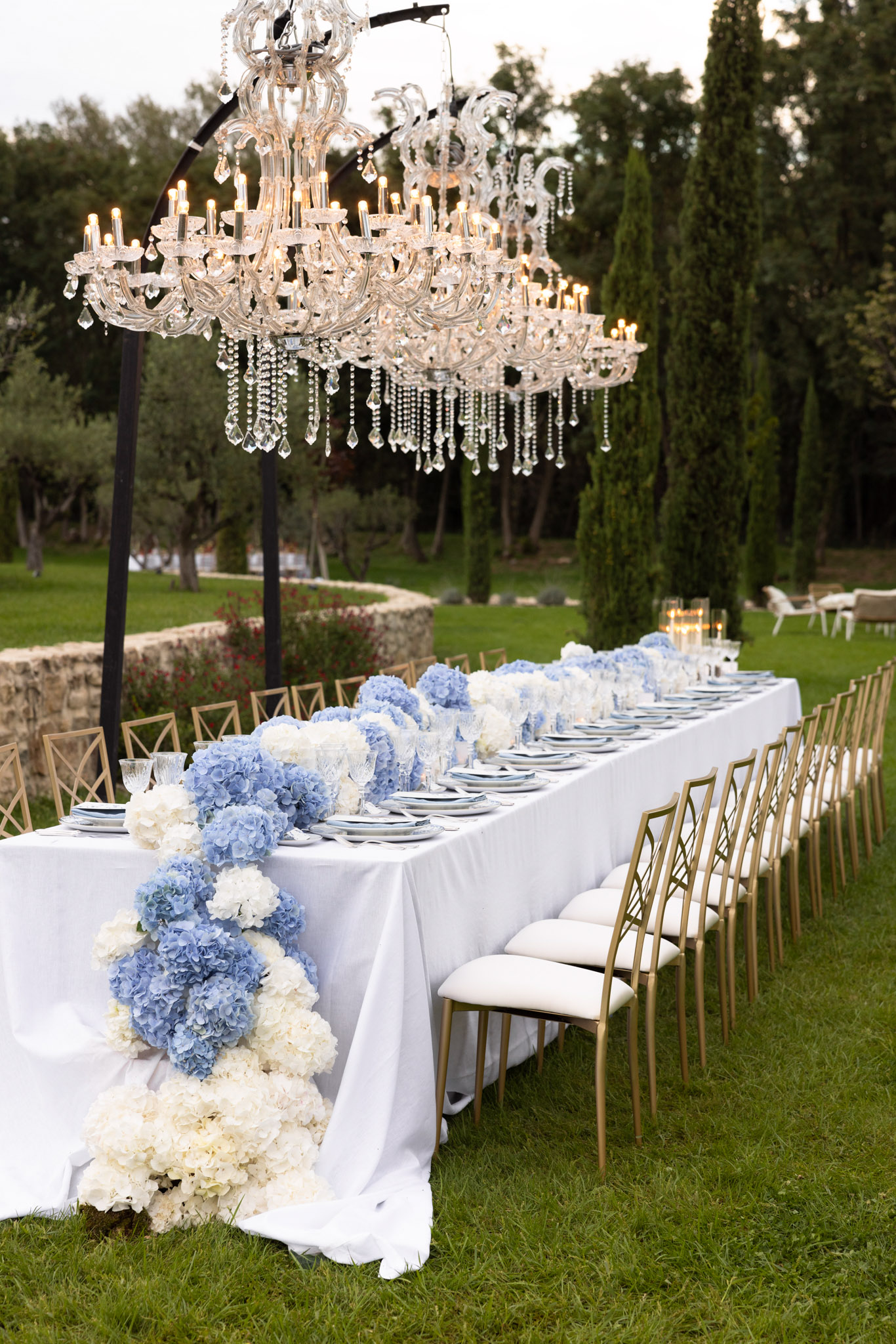 Dusk garden reception with pale blue hydrangea cascade crystal chandeliers on black arches gold chiavari chairs and cypres...