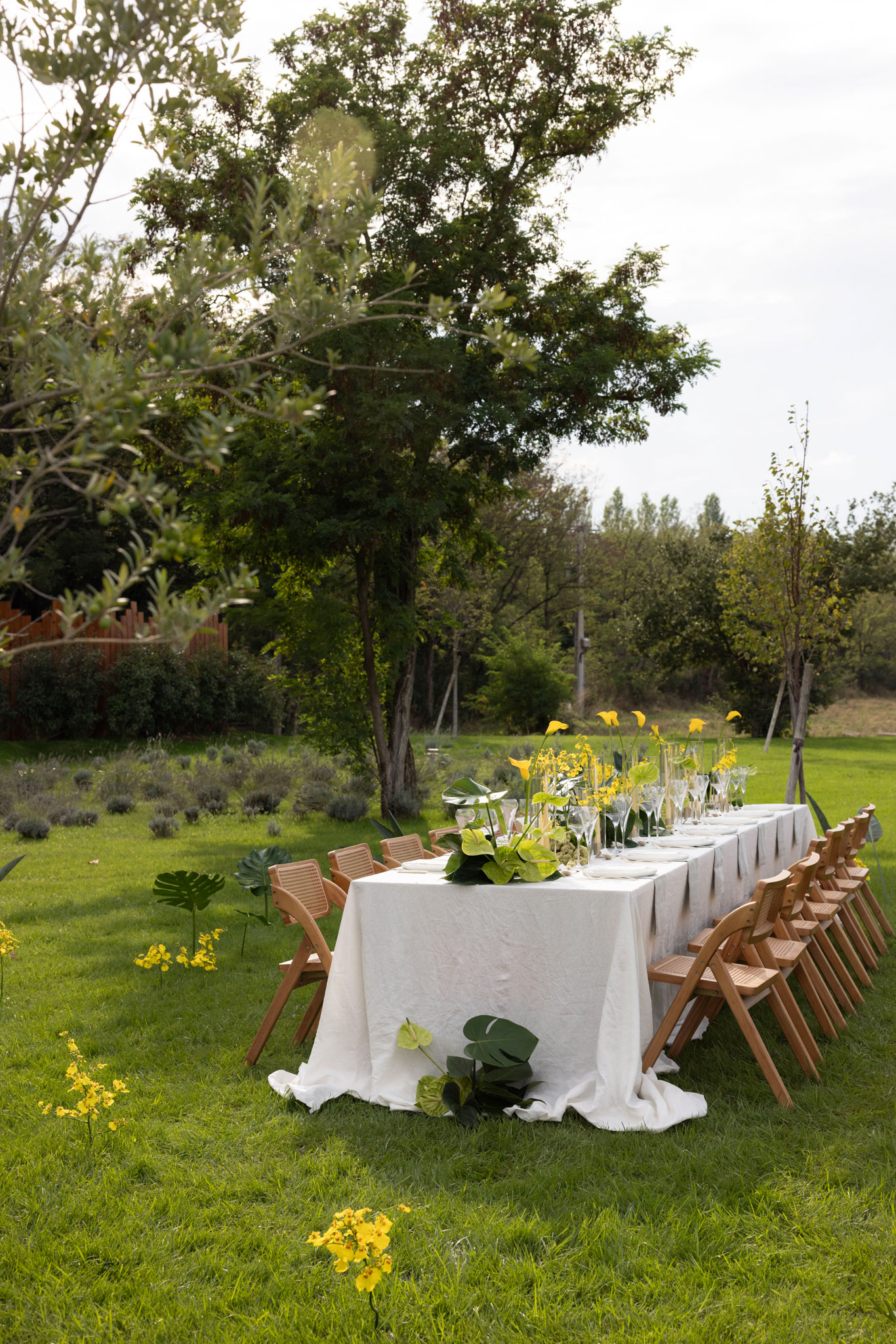 An outdoor wedding reception table set up on a garden lawn, photographed as a wide portrait-orientation shot with no guests present. The long rectangular table is covered with a white linen tablecloth that pools slightly on the ground, and is lined on both sides with natural wood folding chairs with woven cane backs. The table centerpiece runs the length of the table and features large monstera leaves, yellow calla lilies, and small yellow flowering stems arranged in clear glass vases, alongside rows of wine glasses and white place settings. Additional monstera leaves and small yellow flowers are scattered on the lawn around the base of the table, extending the botanical styling to ground level. The decor palette is white, yellow, and deep green, with a modern-botanical aesthetic. The setting is an open garden with what appears to be a lavender border in the background.