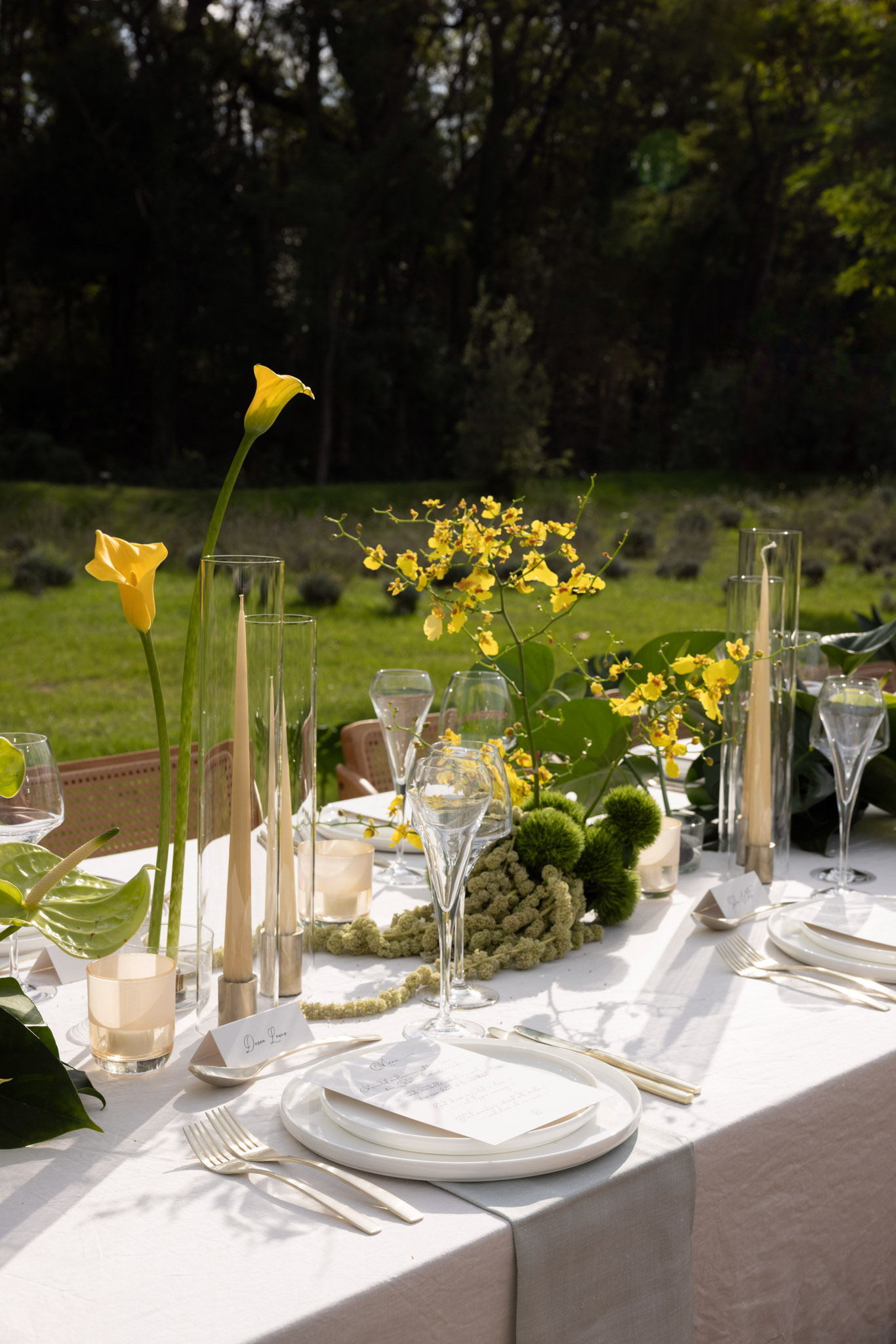 A close-up detail shot of an outdoor wedding reception table set in a garden or parkland setting. The table is dressed with a white linen tablecloth and features a modern, botanical-themed tablescape with a palette of yellow, white, and green. Centerpieces include tall yellow calla lilies in clear cylindrical glass vases, yellow oncidium orchid branches, large tropical monstera leaves, green globe amaranth clusters, and textured green celosia, all arranged along the center of the table. Tall natural beeswax taper candles are placed in slim glass hurricanes alongside small amber votive candles. Each place setting consists of stacked white matte ceramic plates, a printed menu card, a small calligraphy place card, crystal stemware including a champagne flute and wine glass, and gold-toned flatware. The overall styling is modern and botanical with a fresh, nature-forward aesthetic.