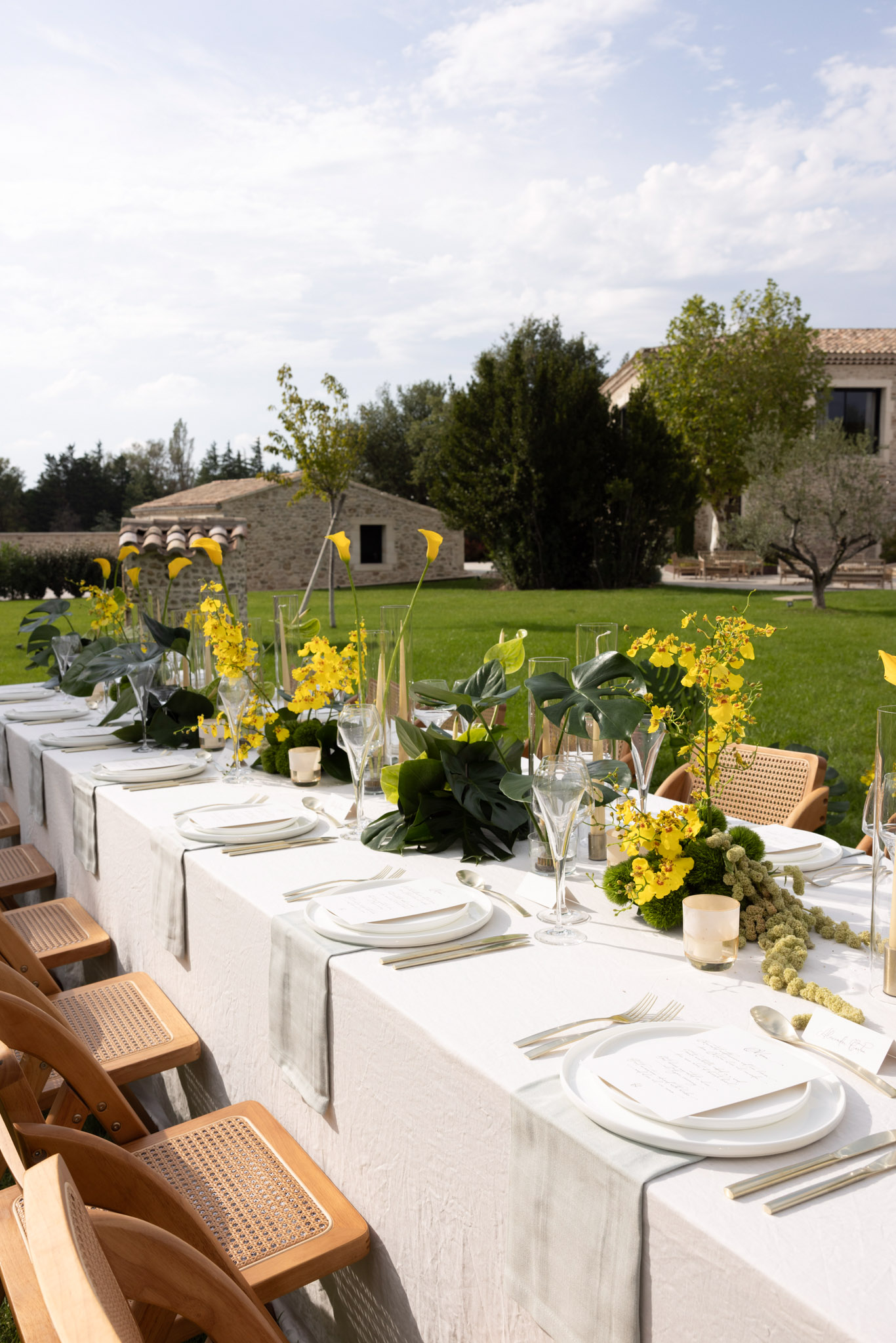 An outdoor wedding reception table is set on a lawn in front of a Provençal stone mas with terracotta roof tiles. The long rectangular table is dressed in a white linen tablecloth with place settings featuring white ceramic plates, printed menus, and gold flatware, paired with clear crystal glassware. The centerpiece runs the length of the table and features yellow oncidium orchids, yellow calla lilies, large dark green monstera leaves, green moss balls, and textured green amaranthus, creating a bold tropical-meets-botanical aesthetic in a yellow and deep green palette. Cane-back wooden chairs line both sides of the table, and the wide-angle shot captures the full table length with the stone estate buildings and manicured lawn visible in the background.
