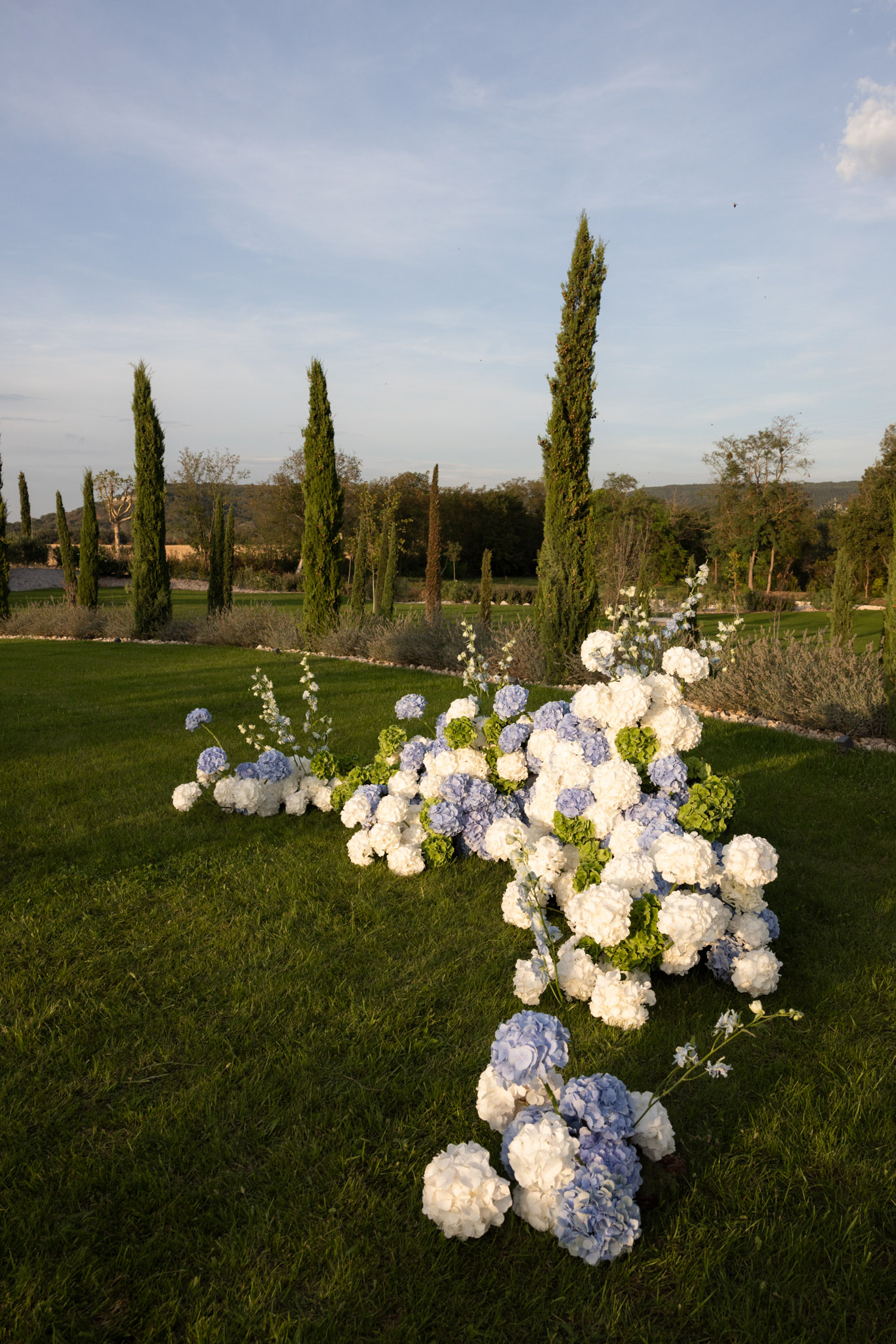 A floral decor detail shot taken outdoors on a manicured lawn, likely at a Provençal estate or domaine. Multiple low floral arrangements are placed directly on the grass in a loose, scattered formation leading from the foreground into the mid-ground, creating an aisle or ceremony marker effect. The flowers consist of white hydrangeas, pale blue hydrangeas, chartreuse-green hydrangeas, and tall white delphinium stems accenting the clusters. The color palette is white, soft blue, and green. The wide-angle shot is taken at ground level in warm late-afternoon golden hour light, giving the scene a low-sun glow. No people are visible; this is a pure decor and setting image.