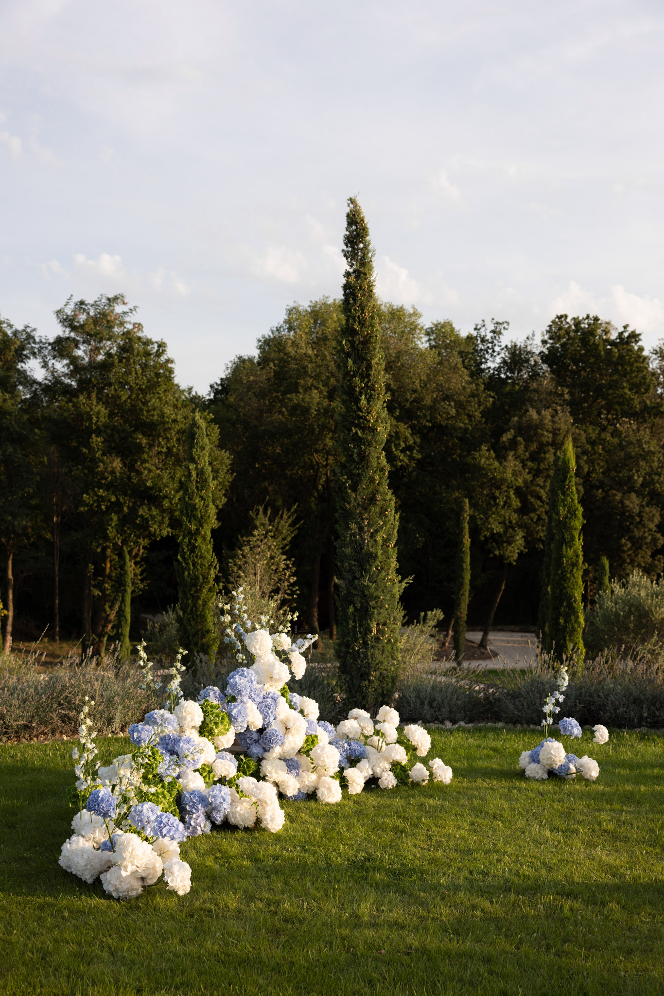 An outdoor ceremony floral installation set on a lawn, with no people present. The arrangement consists of a sweeping, ground-level cascade of white and pale blue hydrangeas, accented with white delphinium stems, laid directly on the grass in a curved, flowing composition. A smaller secondary cluster of white and blue hydrangeas sits to the right, suggesting a two-part altar or aisle marker setup. The decor palette is strictly white and soft blue, creating a classic, garden-style aesthetic. The formal landscaping in the background, including a row of tall Italian cypress trees and manicured hedgerows, points to a French estate or château garden setting. Wide shot taken during golden hour light.