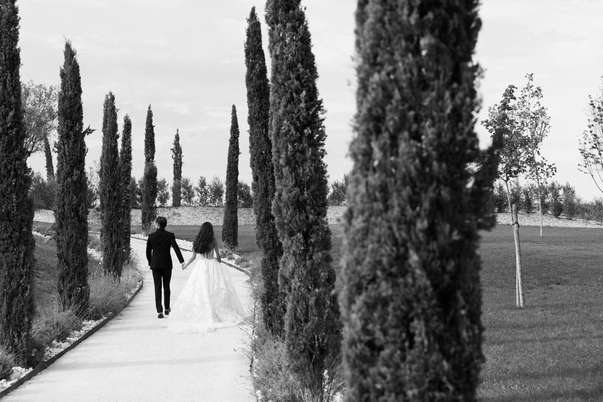 Black-and-white shot of bride and groom walking away hand-in-hand along cypress-lined pathway
