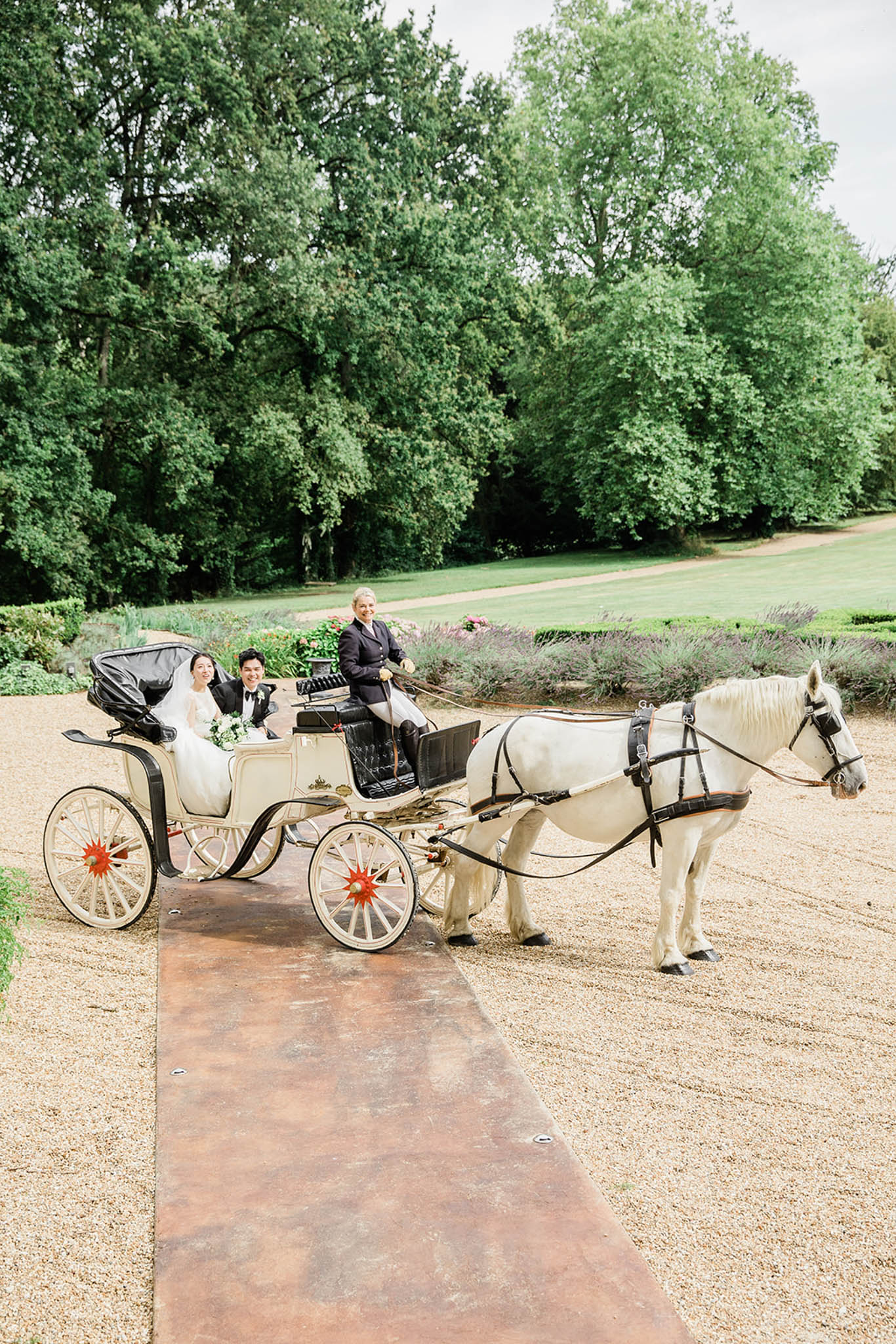 Couple in horse-drawn carriage with white horse on chateau gravel forecourt with lavender borders