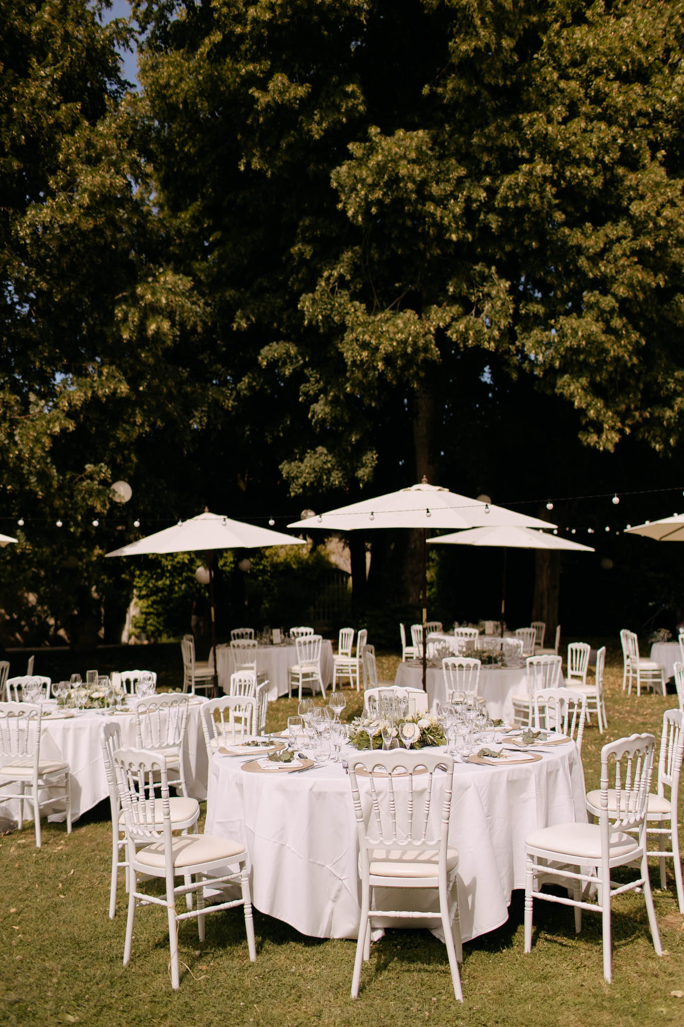 An outdoor wedding reception setup on a lawn, photographed before guests arrive. Multiple round tables are dressed in white floor-length linens and surrounded by white Chiavari chairs with cream cushions. The foreground table is set with gold charger plates, glassware, and a low centerpiece of white and cream flowers with greenery. Cream market umbrellas shade several tables across the space, and strings of globe bistro lights are strung between the umbrellas and surrounding trees. The overall decor palette is white, cream, and gold with green accents, consistent with a classic, clean aesthetic. Wide establishing shot capturing the full reception layout.