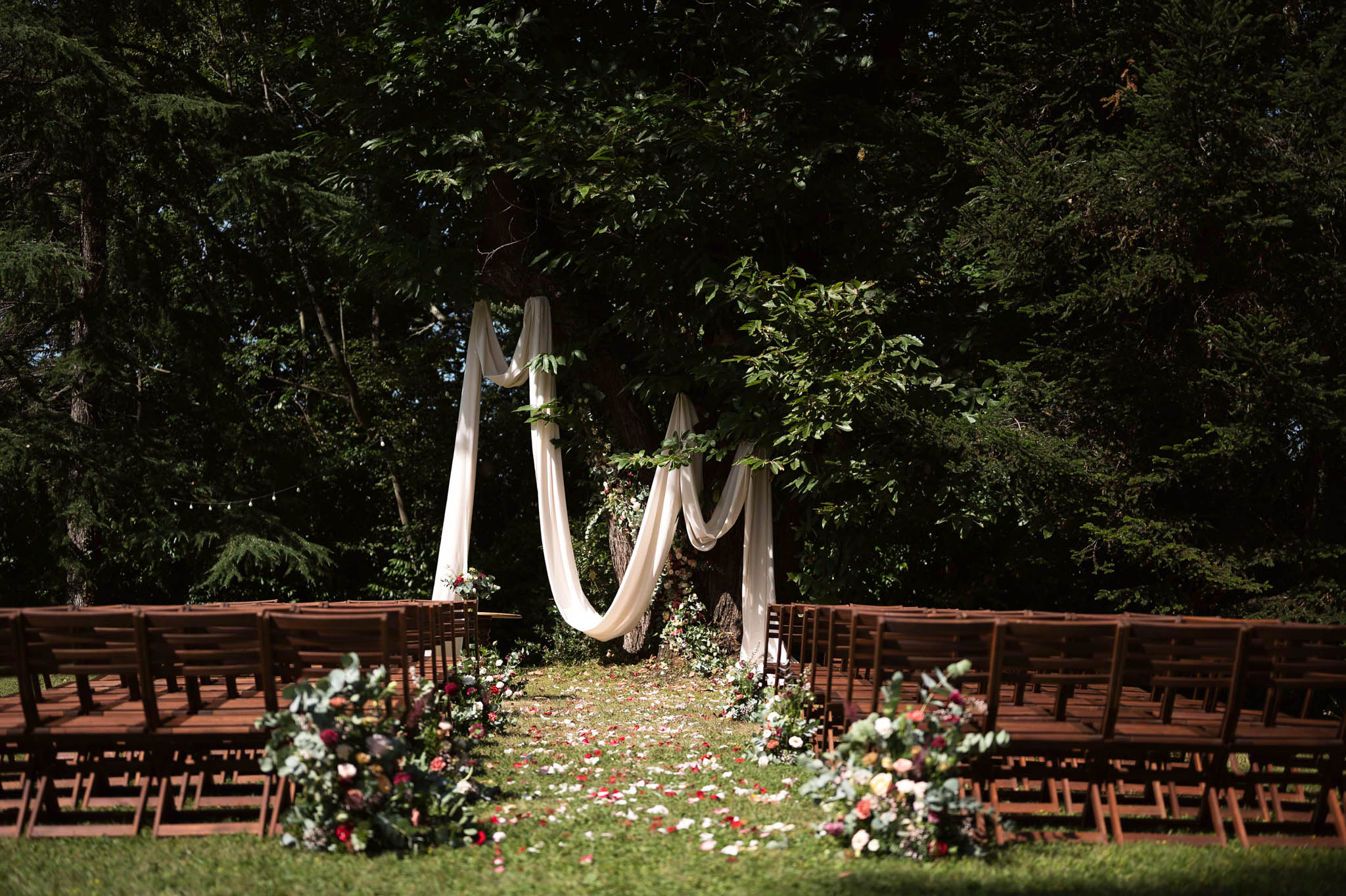 An outdoor wedding ceremony setup photographed before the ceremony begins, with no people present. The aisle runs through a central lawn bordered on each side by rows of dark wood folding chairs arranged on raised wooden decking. The altar features ivory fabric draped in sweeping loops between two upright posts and a large tree trunk at center, accented with greenery and a floral arrangement at the base. The aisle is scattered with loose flower petals in red, white, and pink, and flanked at the entrance by two large floral ground arrangements composed of deep burgundy, blush, coral, and white blooms mixed with eucalyptus and trailing greenery. String lights are faintly visible in the background among dense, dark green trees. The overall decor palette is ivory, burgundy, and blush with a garden-romantic styling. Wide establishing shot capturing the full ceremony space.