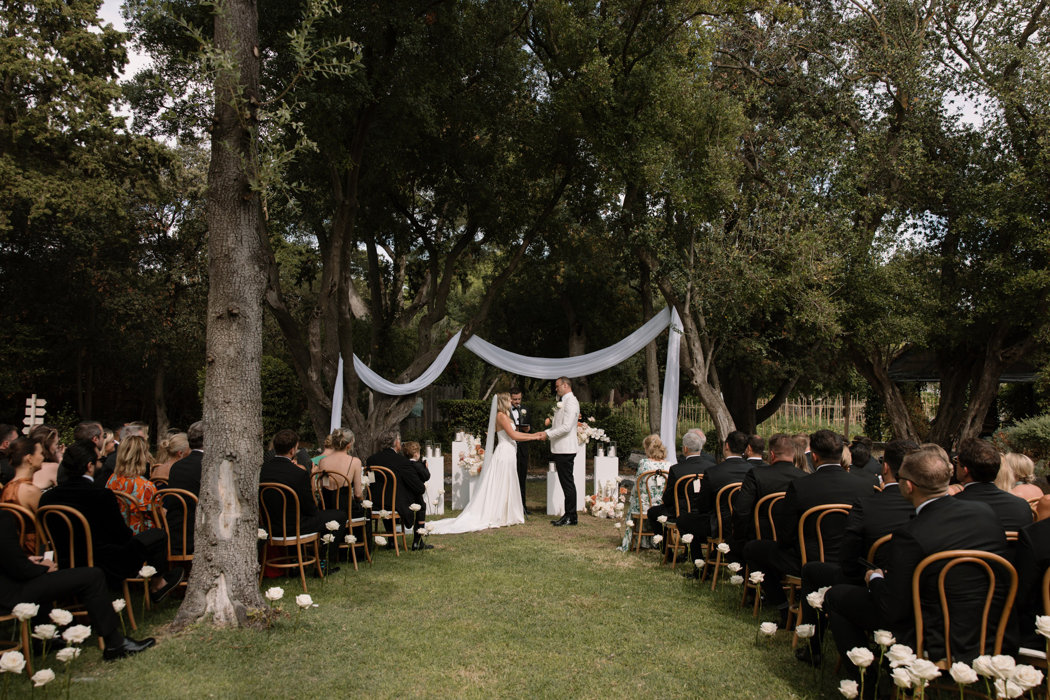 An outdoor wedding ceremony taking place on a lawn surrounded by large mature trees, with the couple standing at the altar holding hands while facing each other. The bride wears a white sleeveless gown with a long train and veil, while the groom wears an ivory or white dinner jacket with black trousers and a bow tie. White fabric draping is strung between the trees to frame the altar area, and white pillar candle holders of varying heights are arranged around the ceremony space alongside low floral arrangements featuring white and blush blooms. Approximately 60–80 guests are seated in bentwood wooden chairs arranged in two rows on either side of a grass aisle, with single white roses placed at the end of each chair row. The officiant stands beside the couple at the altar. Wide shot taken from the center of the aisle looking toward the altar.