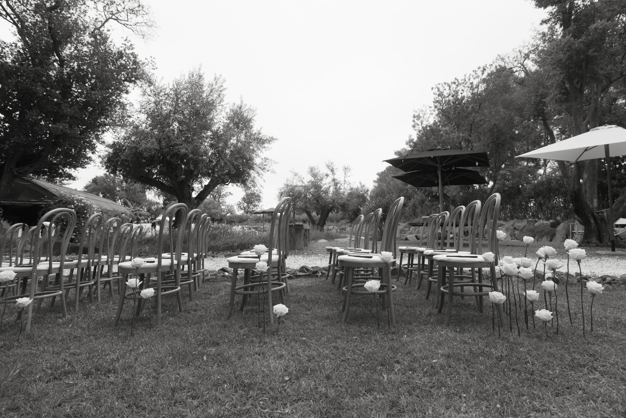Empty ceremony setup with bentwood chairs, rose aisle markers on wooden stools, and garden umbrellas in B&W