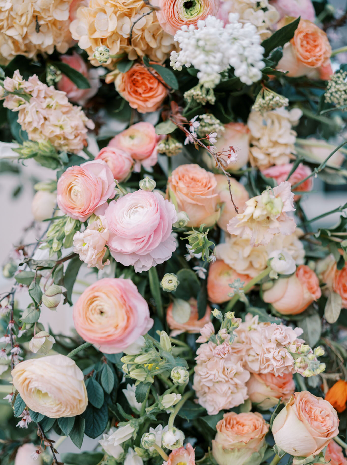 Dense floral arch detail with blush ranunculus, apricot garden roses, cream hydrangeas, and eucalyptus