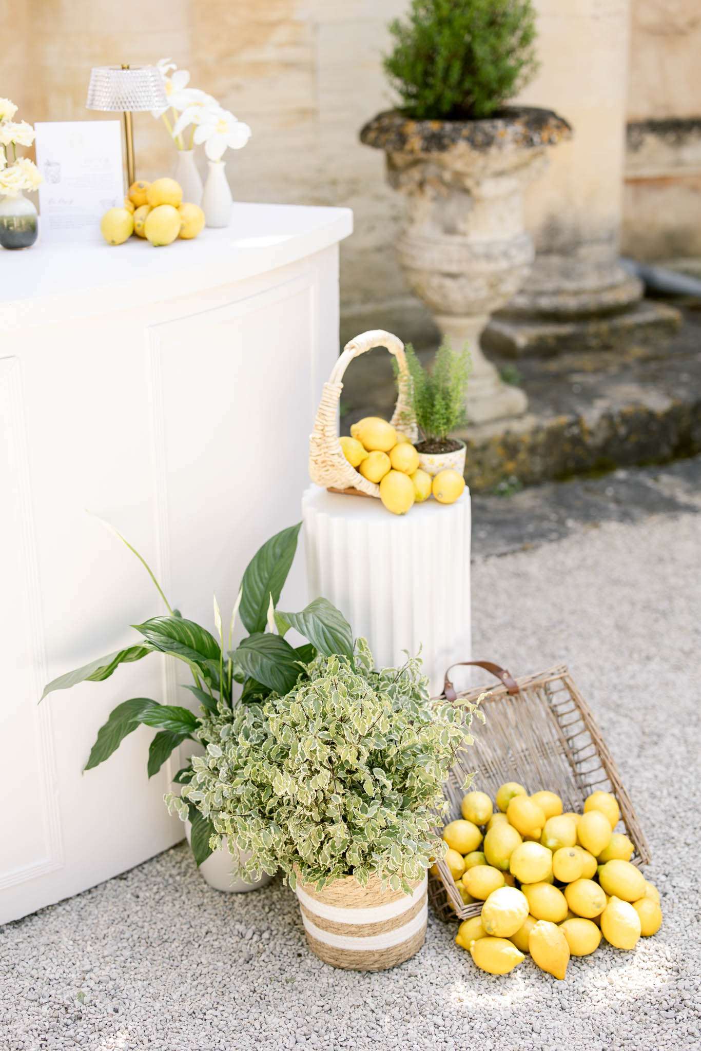 Outdoor wedding decor detail shot featuring a lemon-themed welcome or cocktail bar setup at what appears to be a French château or estate. A white bar cabinet is styled with white bud vases holding white blooms, a small gold table lamp, signage cards, and loose lemons as decorative accents. In front of the cabinet, a wicker basket overflowing with bright yellow lemons sits on a white fluted pedestal column alongside a small potted rosemary plant. On the gravel ground, a wire market basket is filled and surrounded by scattered lemons, accompanied by a potted variegated green plant in a rope-wrapped pot and a larger leafy green houseplant. A carved stone urn with a topiary sits in the background. The overall styling palette is fresh yellow and white with natural green tones, combining rustic and classic French elements in a cohesive citrus-themed decor scheme. Close-up detail/wide shot composition.