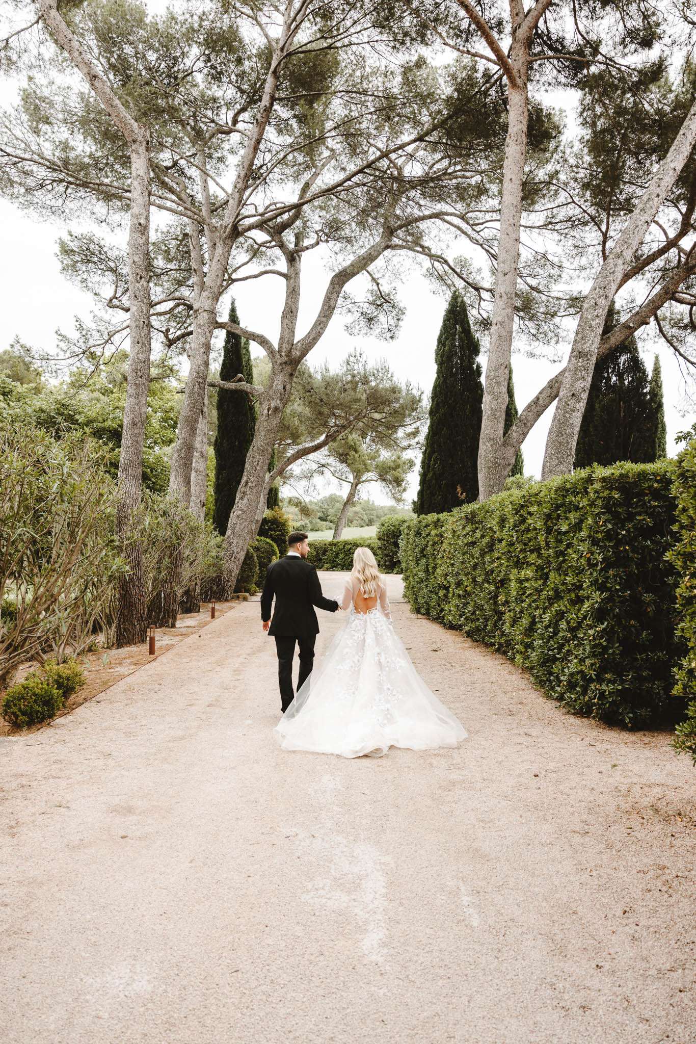 A couple portrait taken outdoors on a gravel tree-lined driveway, photographed from behind in a wide shot. The bride wears a full ballgown with a lace appliqué bodice, open back, long sleeves, and a voluminous tulle skirt with an extended train, while the groom wears a black tuxedo; they are holding hands and walking away from the camera. The setting features tall umbrella pines and a neatly clipped formal hedge along the right side, with cypress trees visible in the middle distance, characteristic of a Provençal estate or domaine. The overall styling is classic and formal, with a neutral gravel path providing a clean leading line through the composition.