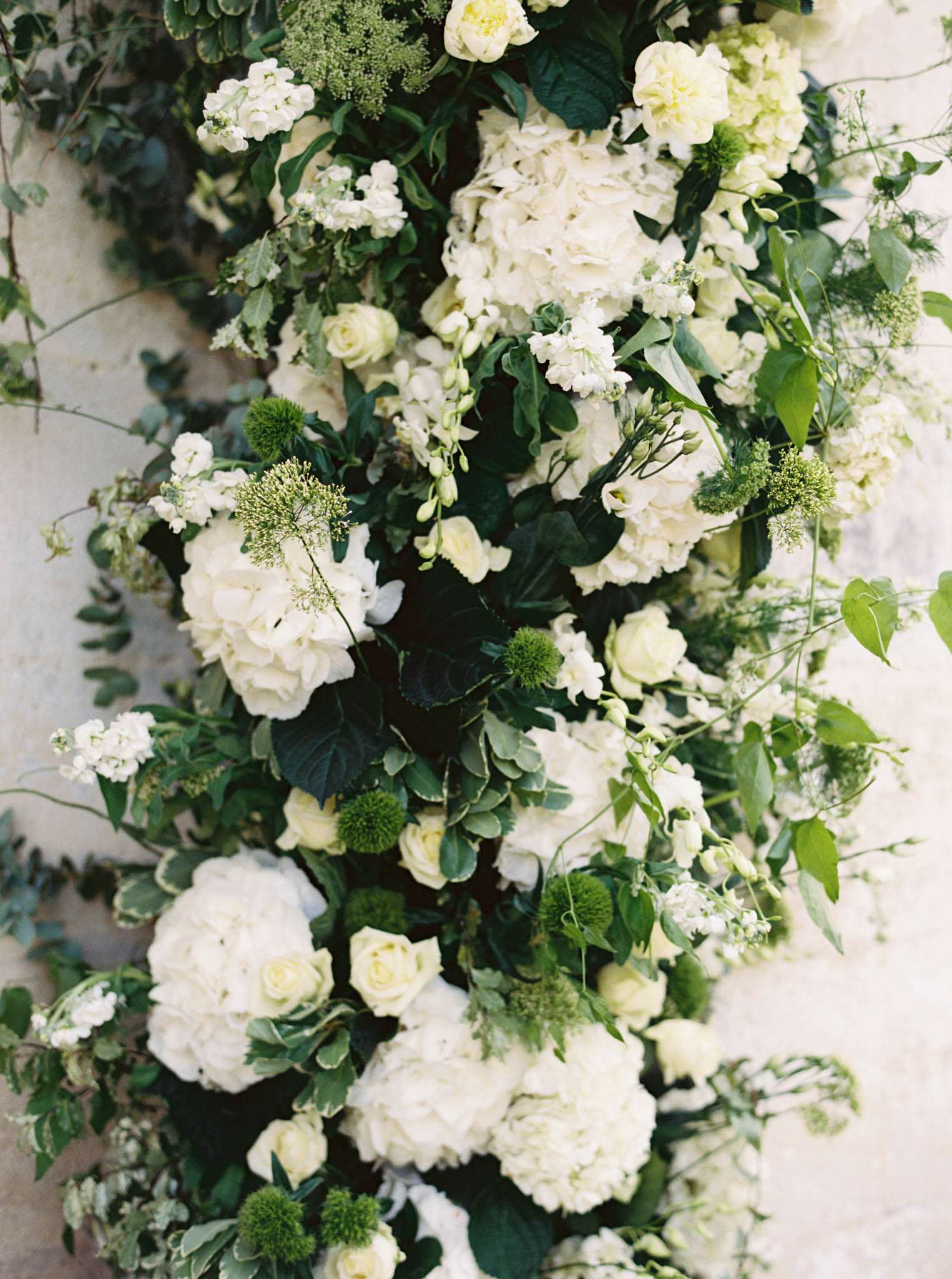 White hydrangea, garden rose, and stock floral cascade with trailing vines against pale stone wall