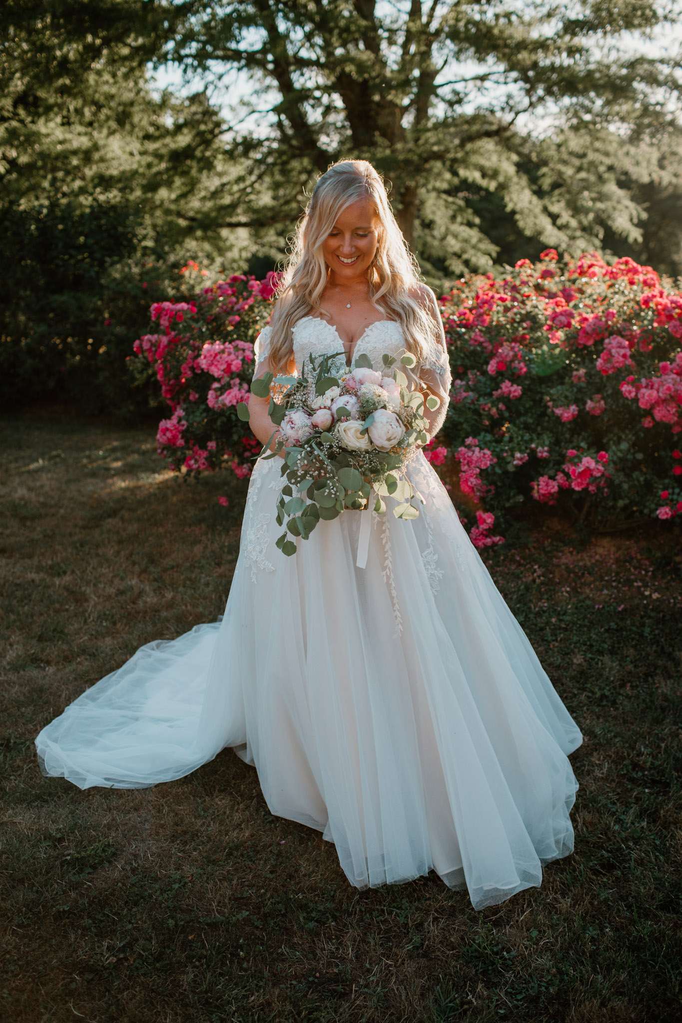 Bride in ivory lace ball gown holding blush peony bouquet in garden at golden hour with rose bushes behind