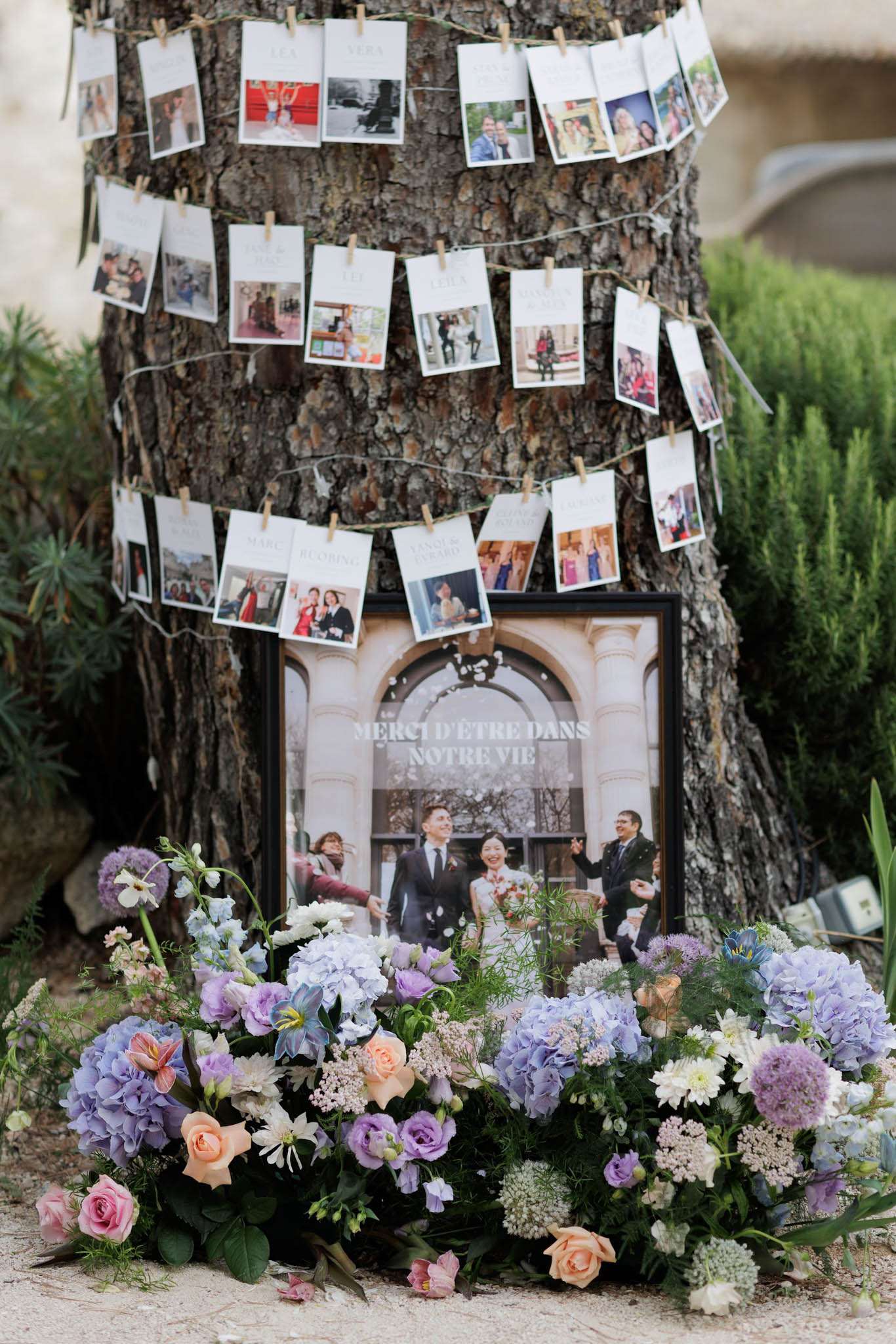 Outdoor seating chart display with photo cards clipped to tree trunk and pastel hydrangea and rose floral arrangement