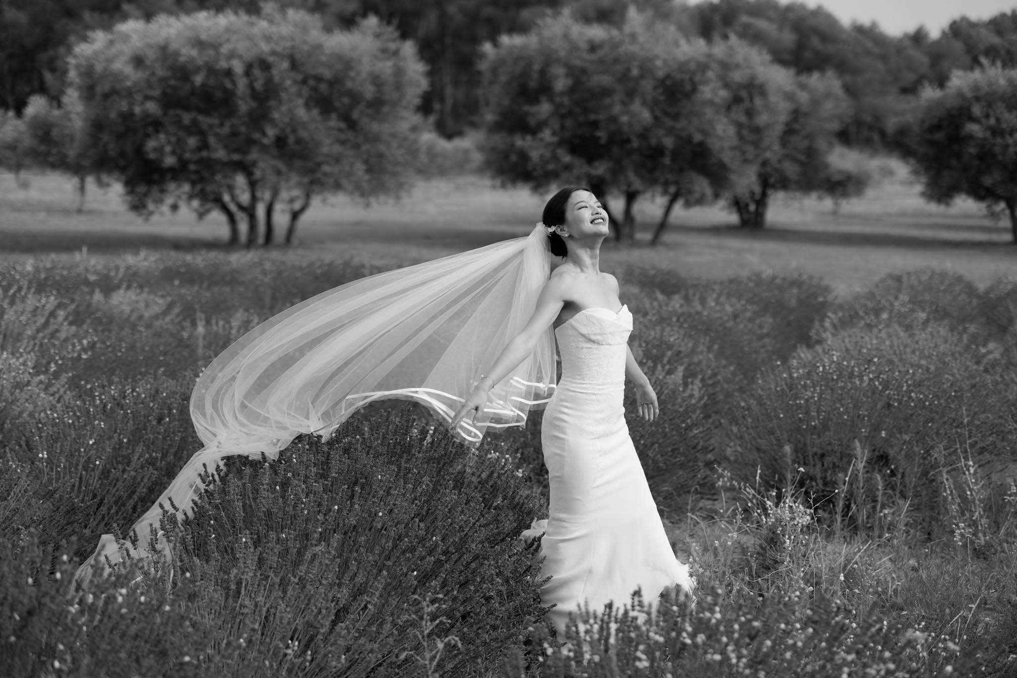 Black and white portrait of laughing bride with billowing cathedral veil in Provence lavender field