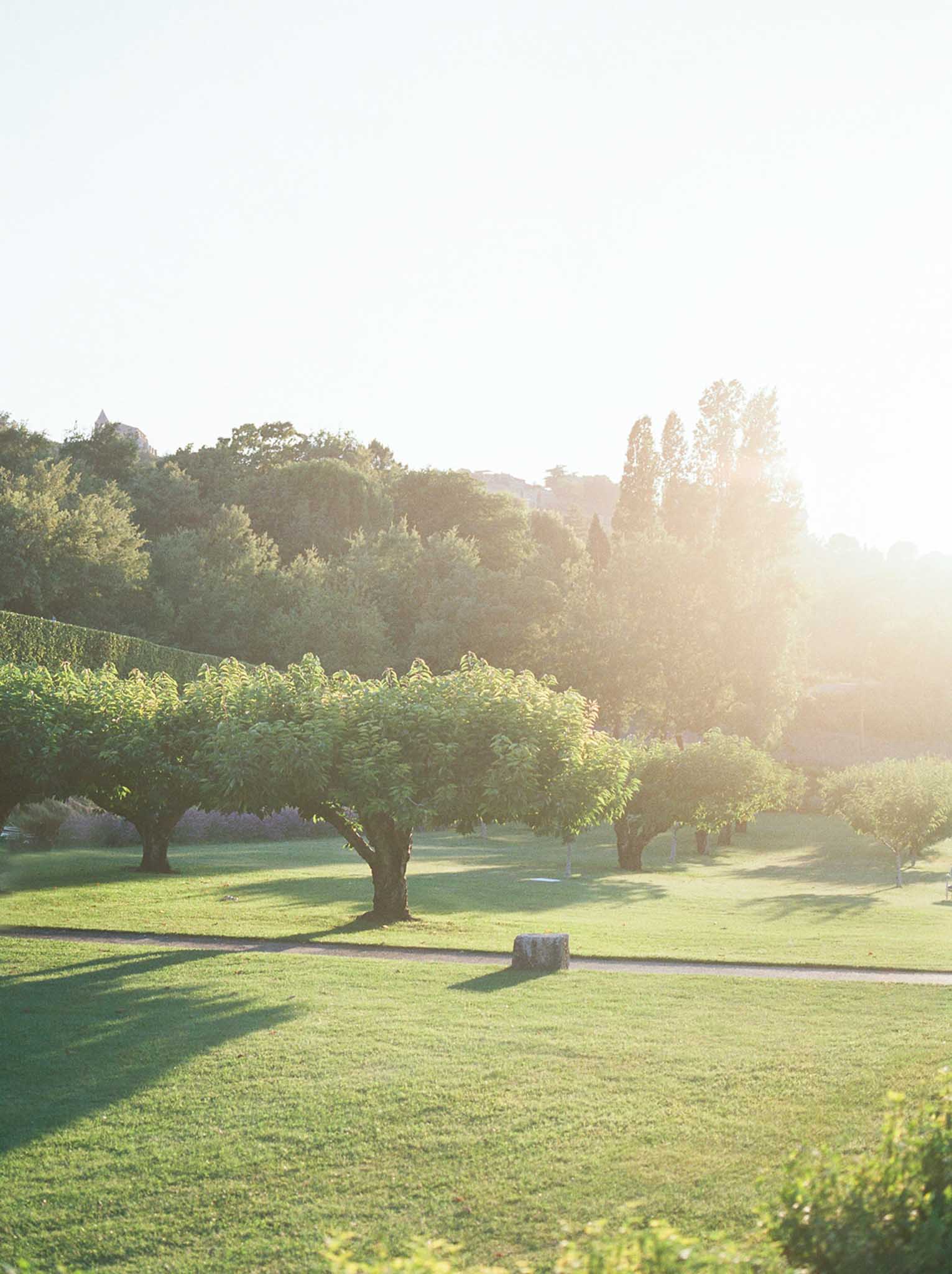 Manicured estate grounds at golden hour with ornamental trees and gravel pathway leading toward a chateau