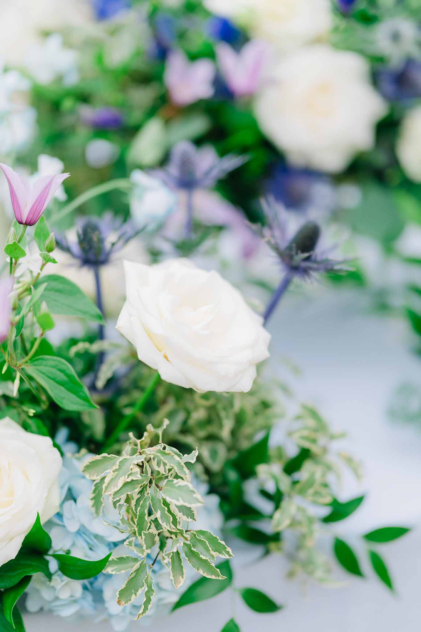Close-up of cream roses with pale blue flowers and pink buds in romantic floral arrangement