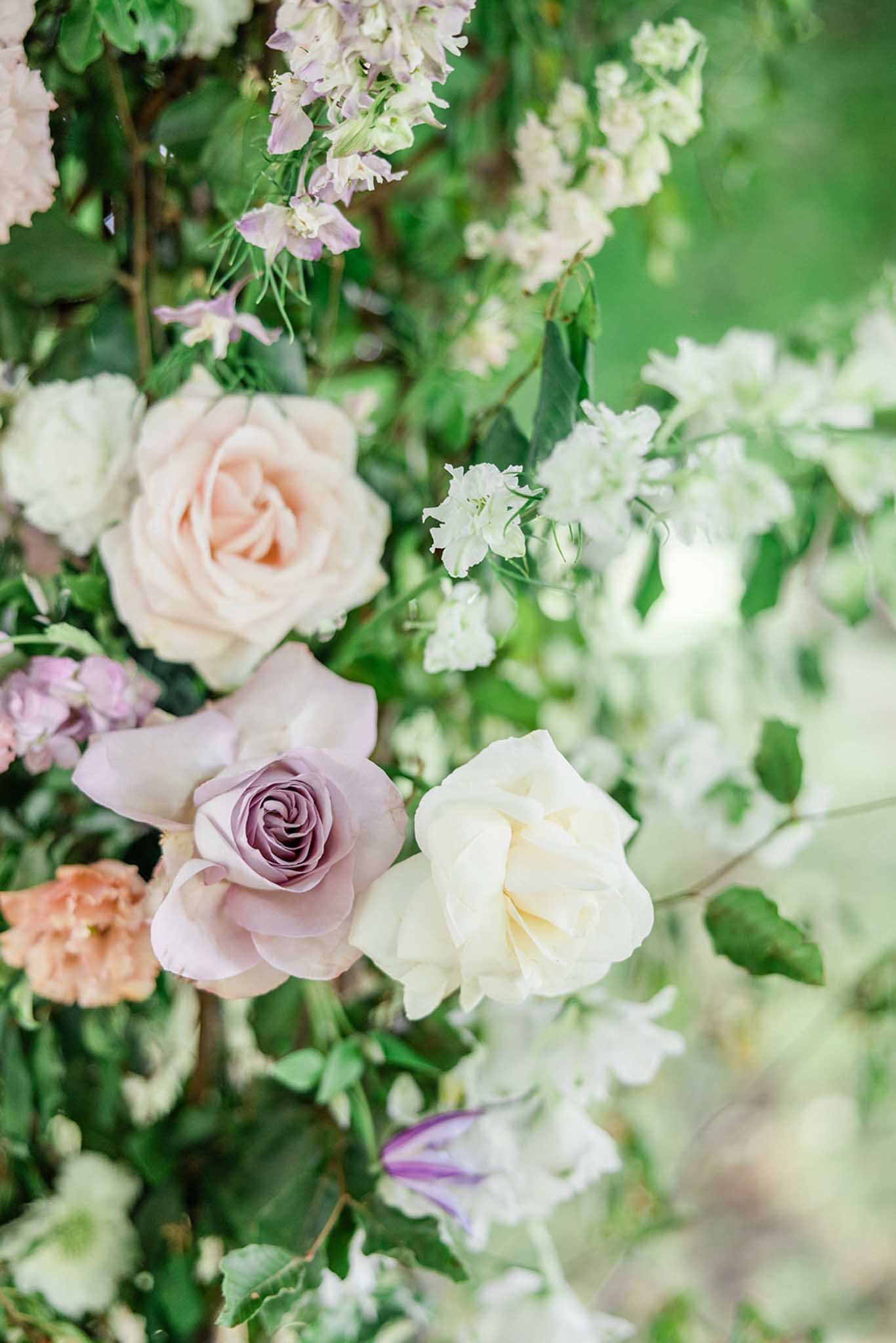 Close-up of bridal bouquet with blush pink, mauve, cream, and ivory roses and white stock flowers