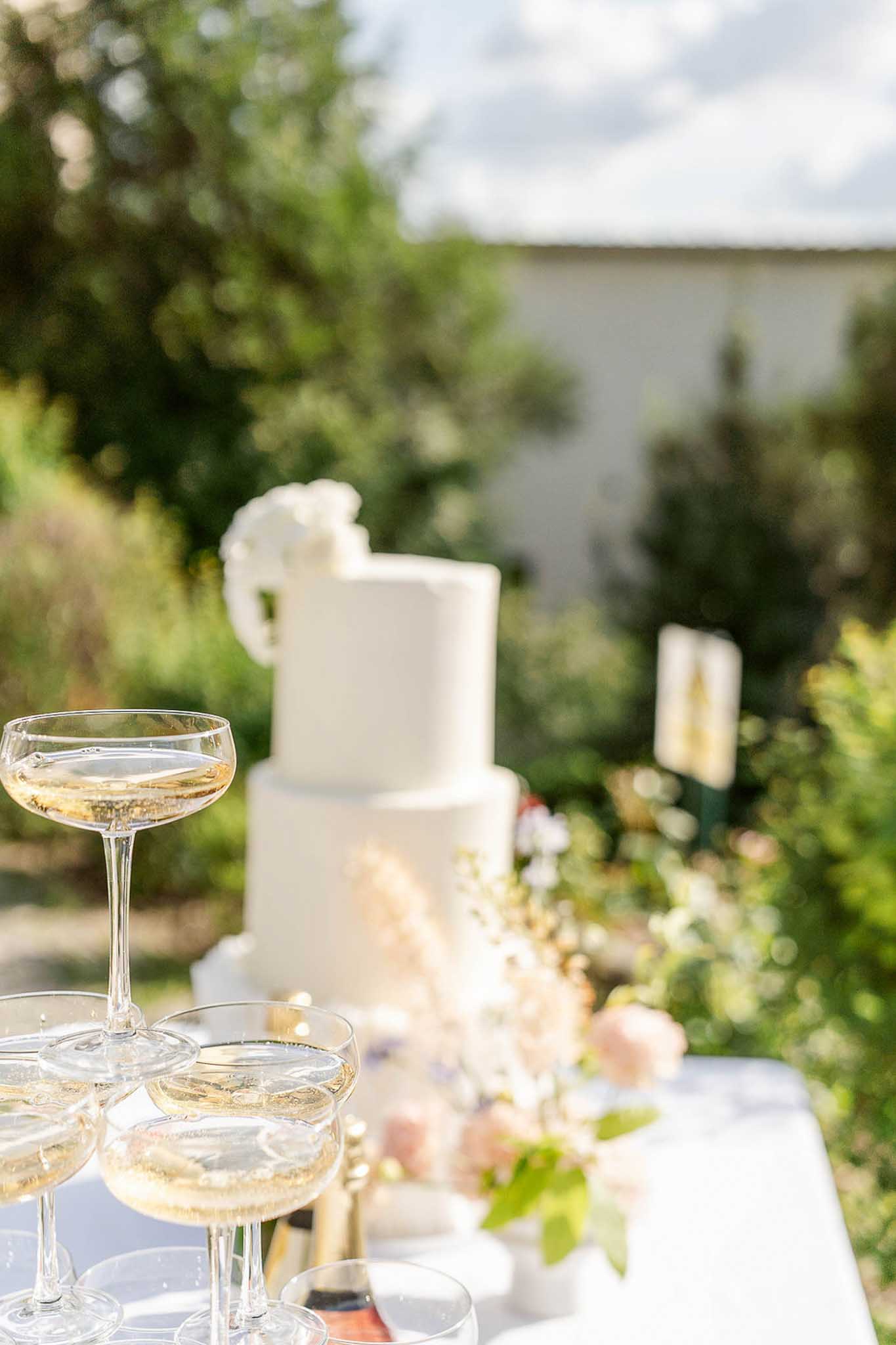 Coupe glasses of champagne in focus in the foreground; ivory floral wedding cake with peach and blush blooms softly blurred behind.