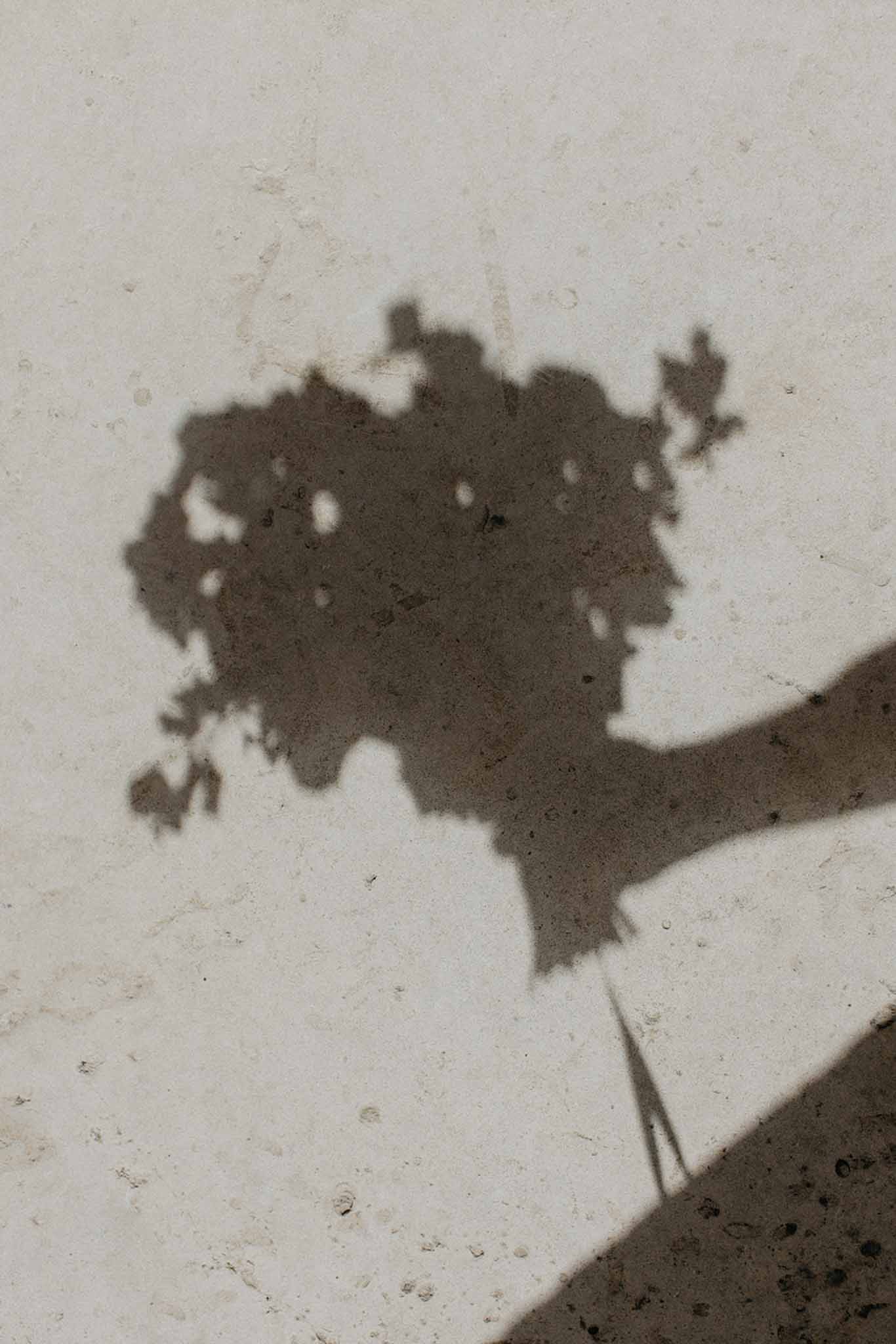 Soft shadow of bridal bouquet cast on pale speckled stone or concrete pavement, artistic light and shadow composition