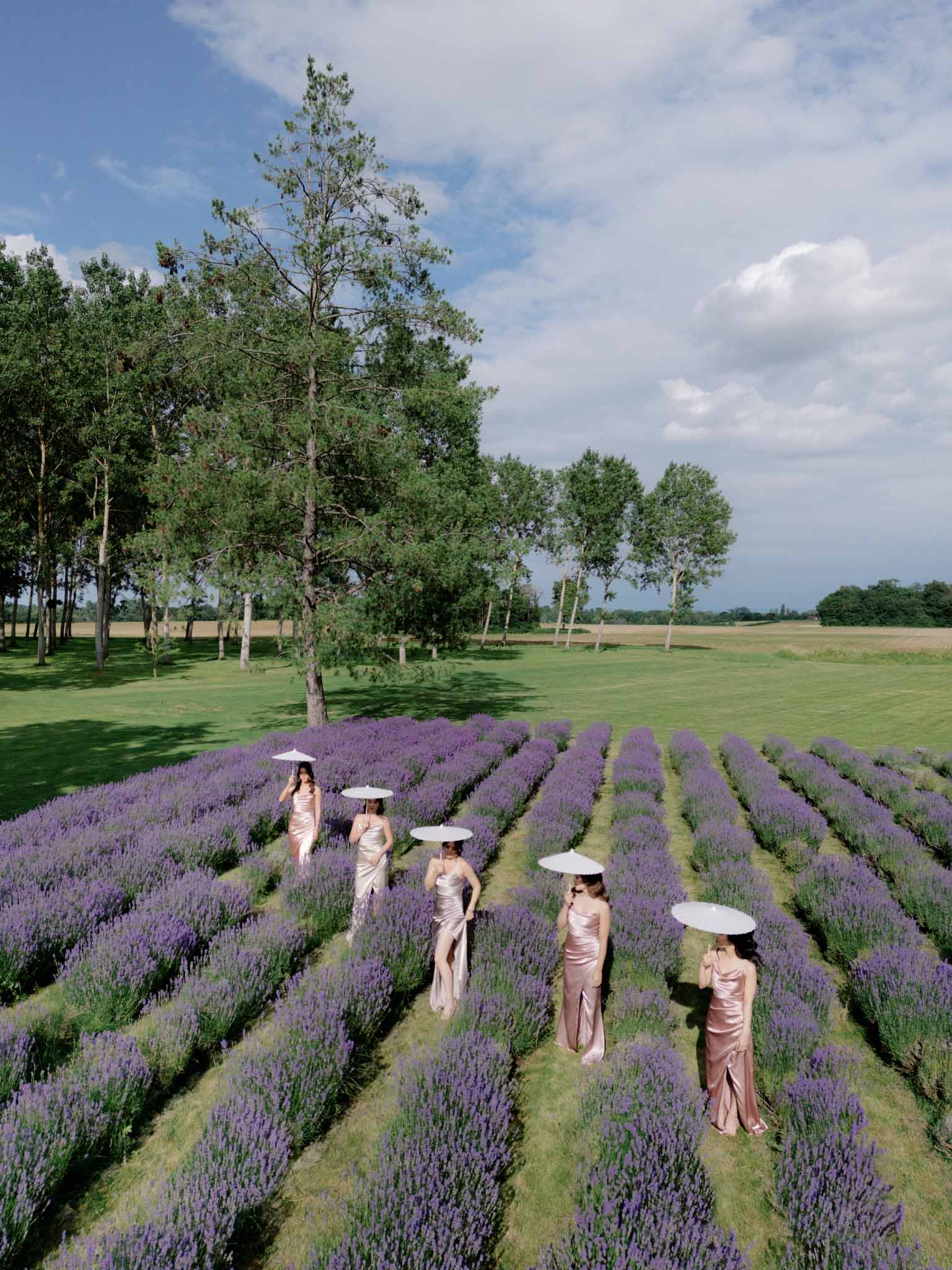 Bride and bridesmaids in dusty rose slip dresses holding white parasols in rows of blooming lavender field