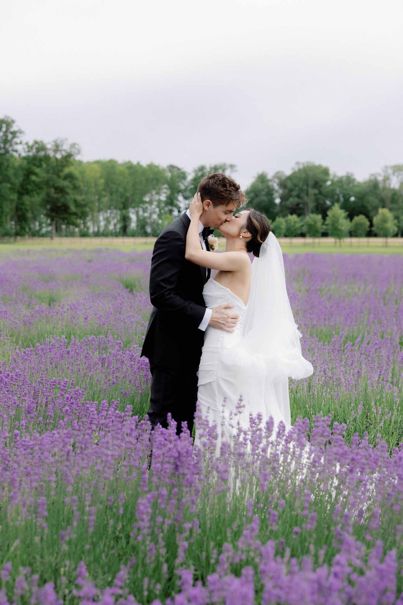 Bride and groom kissing in a lavender field with veil flowing behind